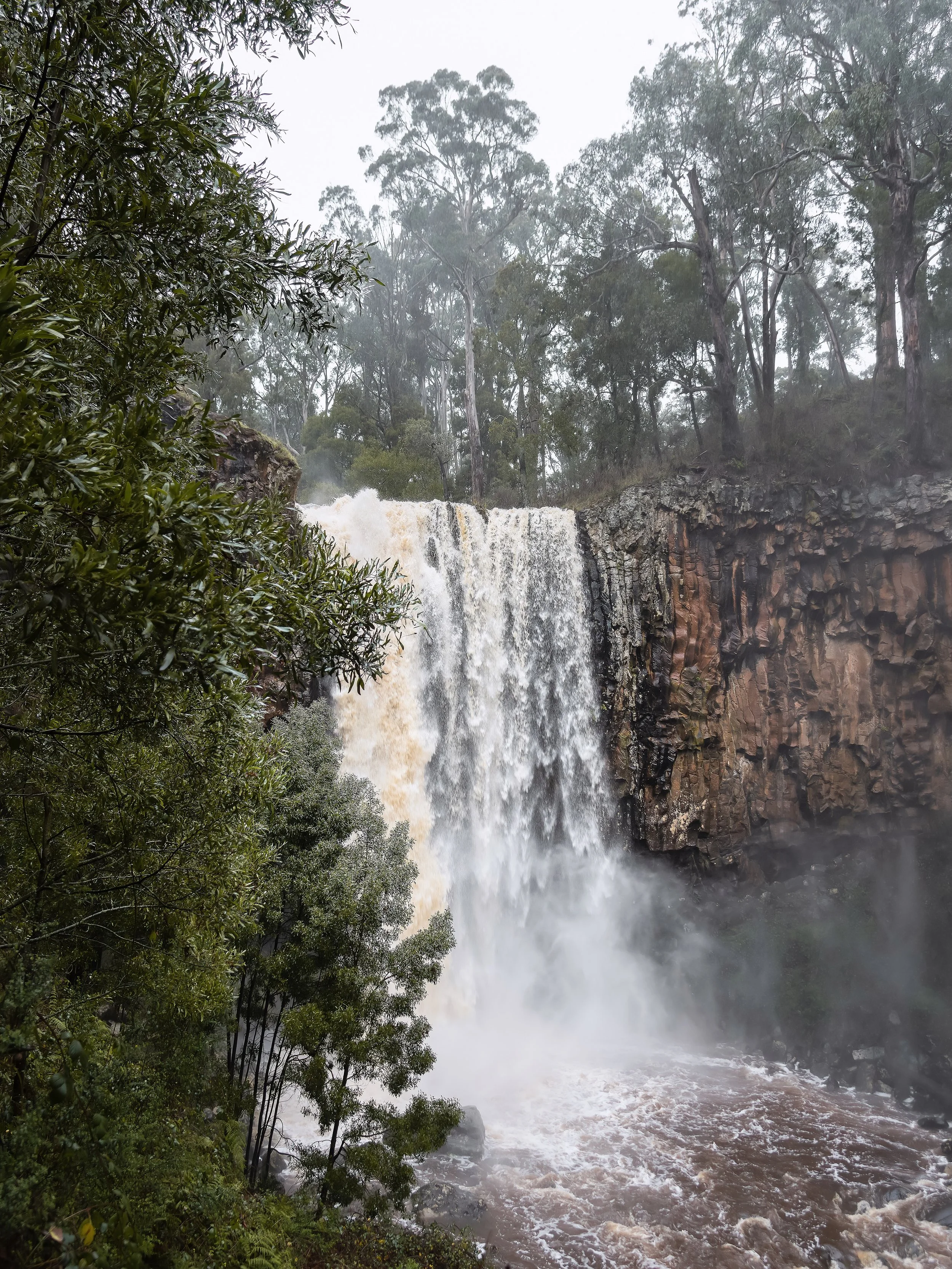 When life gets heavy I run to nature 🍃

Taken back in July when Trentham received around 60mm of rain in the first week of the month! 

#trenthamfalls#australia#macedonranges#waterfall#nature