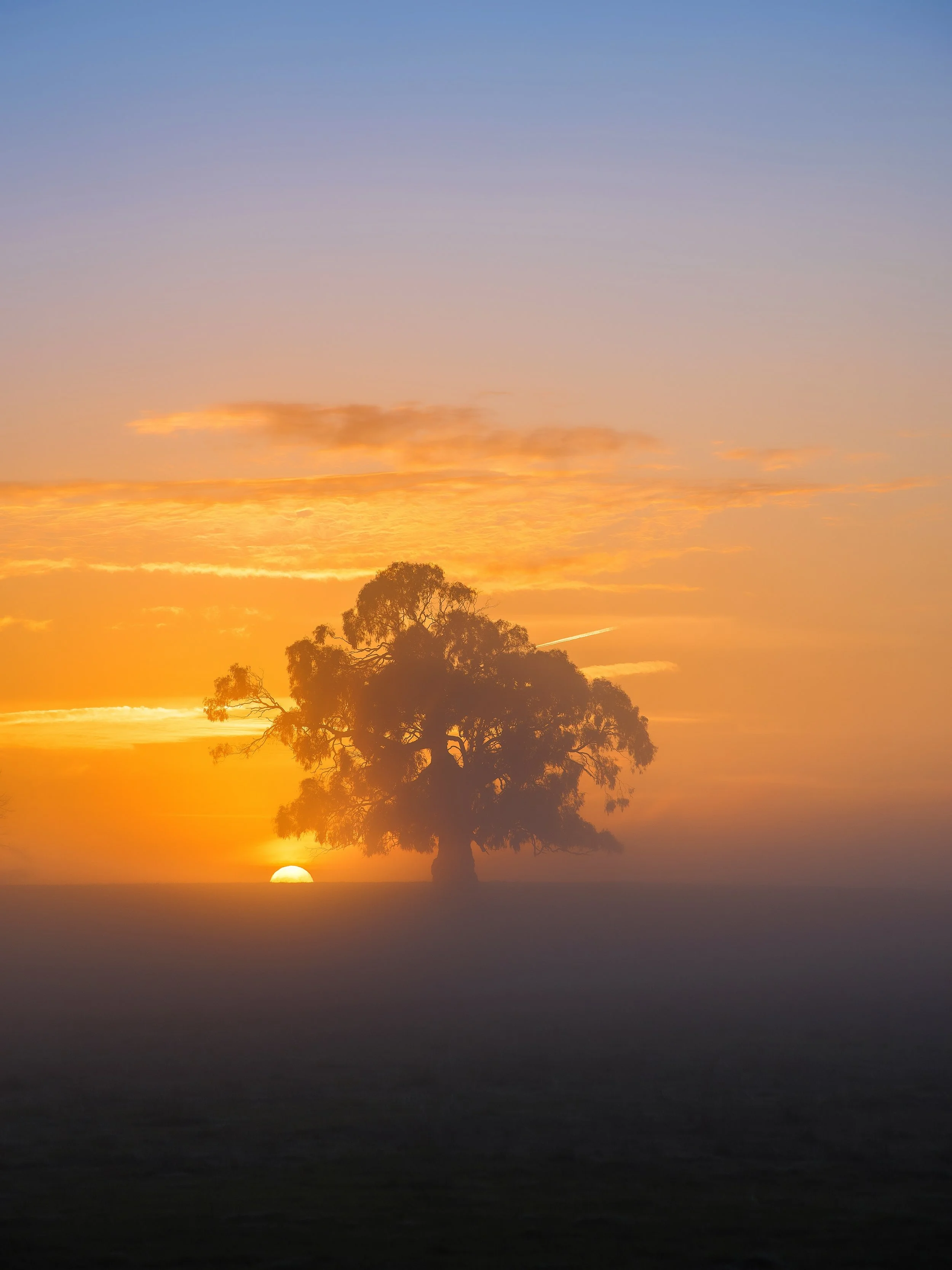 I was lucky to photograph this tree for 5 years before it disappeared. I&rsquo;ve witnessed the most beautiful sunrises I&rsquo;ve ever seen in my life at this spot. I was going to do this post with all of my favourites during that time but they didn