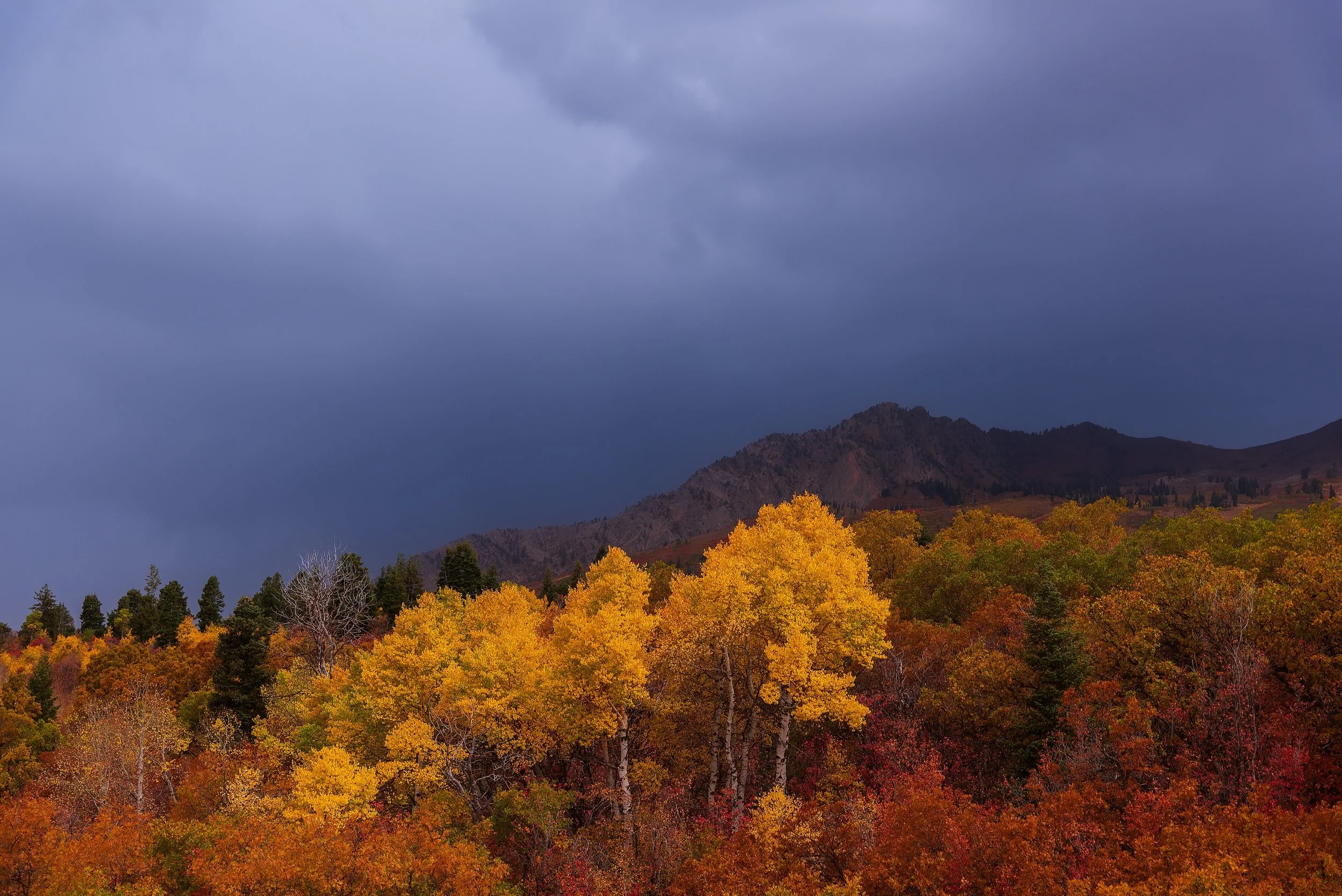 It&rsquo;s #fall in #Utah! And I hear the mountains calling me 😍 #beautifulutah #onlyinutah #saltlakecity