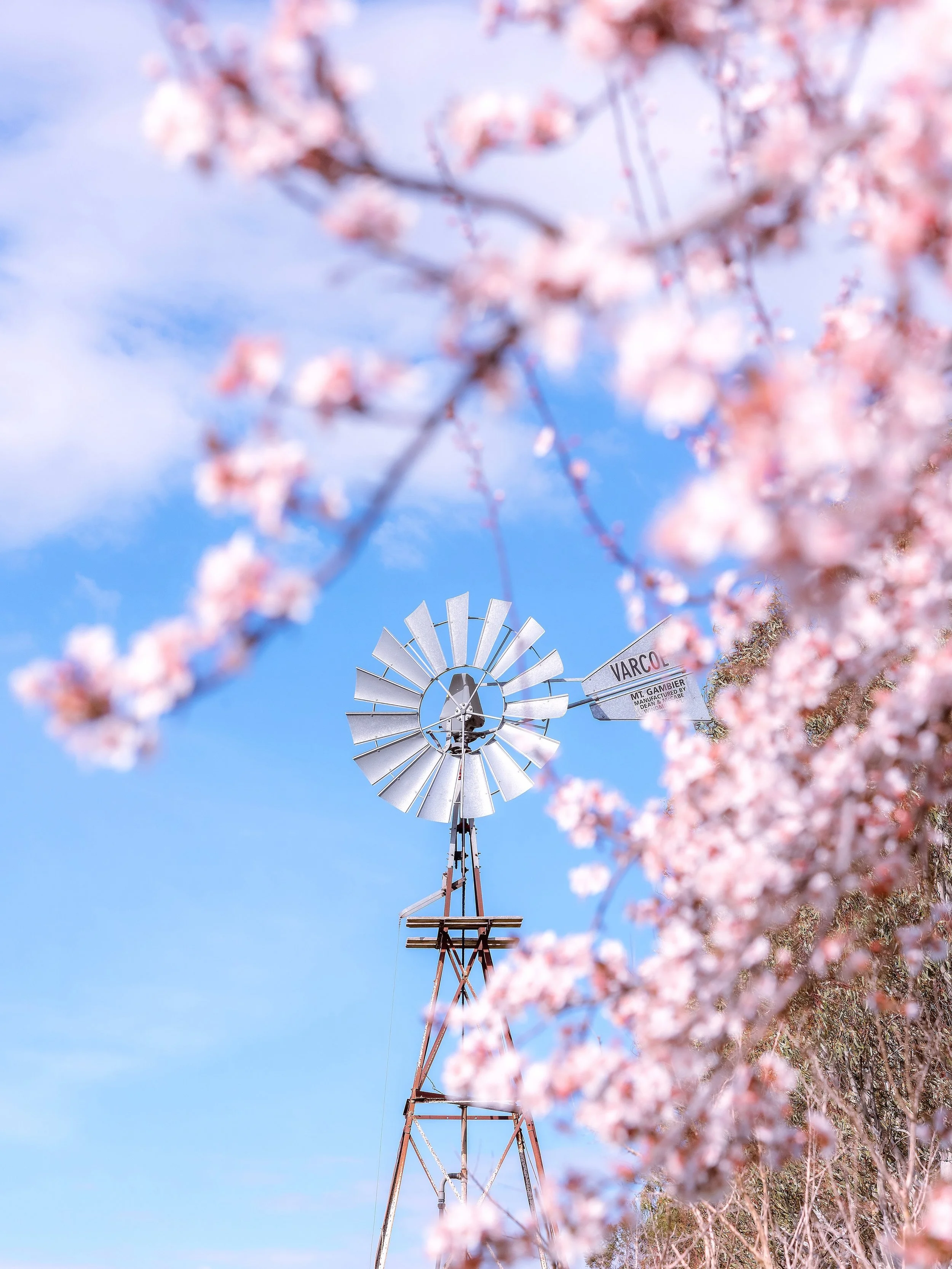 It&rsquo;s &ldquo;Windmill Wednesday&rdquo; 😍

&hellip;. And it&rsquo;s spring so it&rsquo;s the perfect time to repost this one 🌸

#australia #macedonranges #windmill #fyp #spring