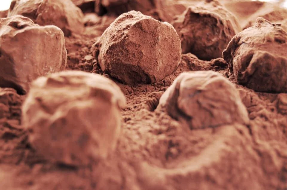 Cabosse & Feve Chocolates — experience maldon