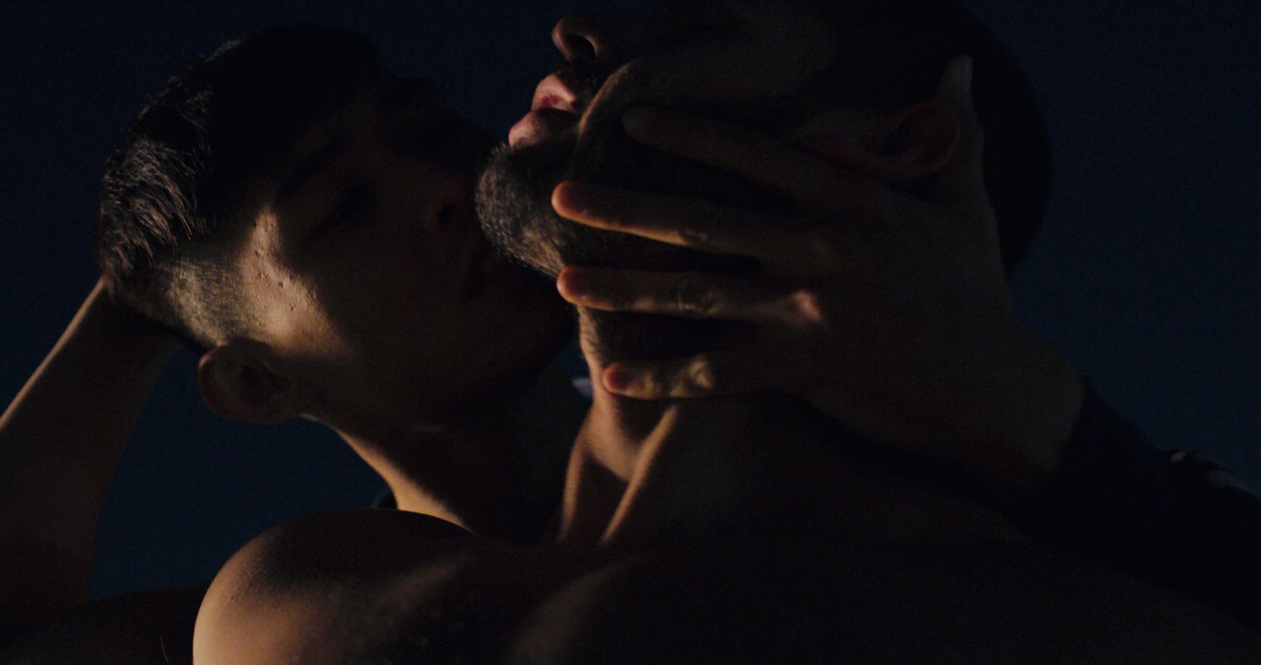 Rooftop Hookup_Forcing a Kiss.jpeg