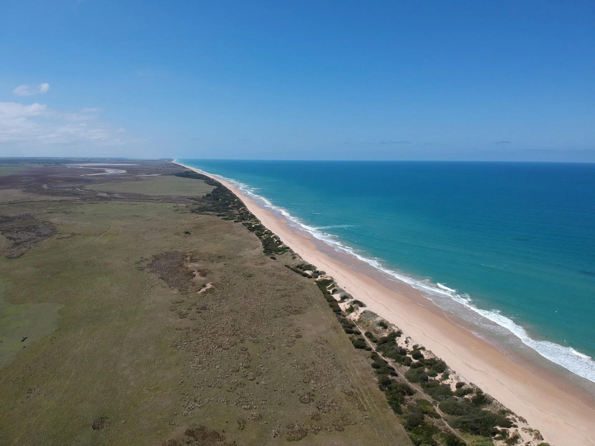 Blue Mackerel progresses to full Environmental Impact Statement (EIS) assessment