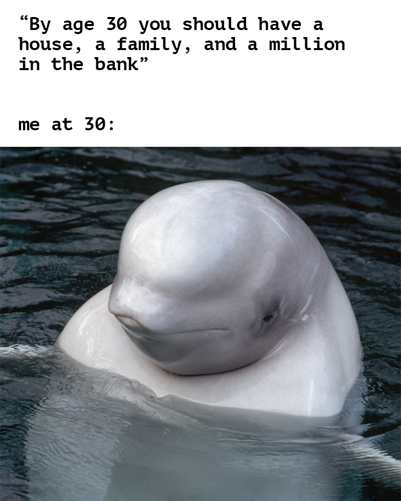 Beluga_meme_11_4x5.png