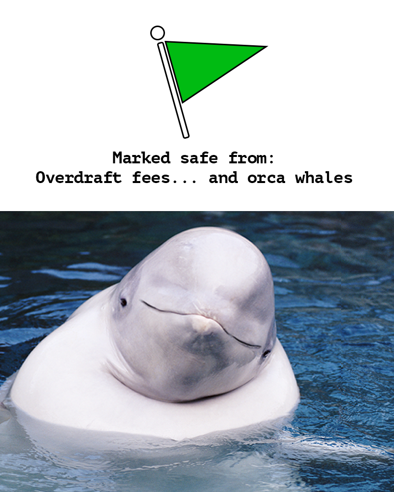 Beluga_meme_02_4x5.png