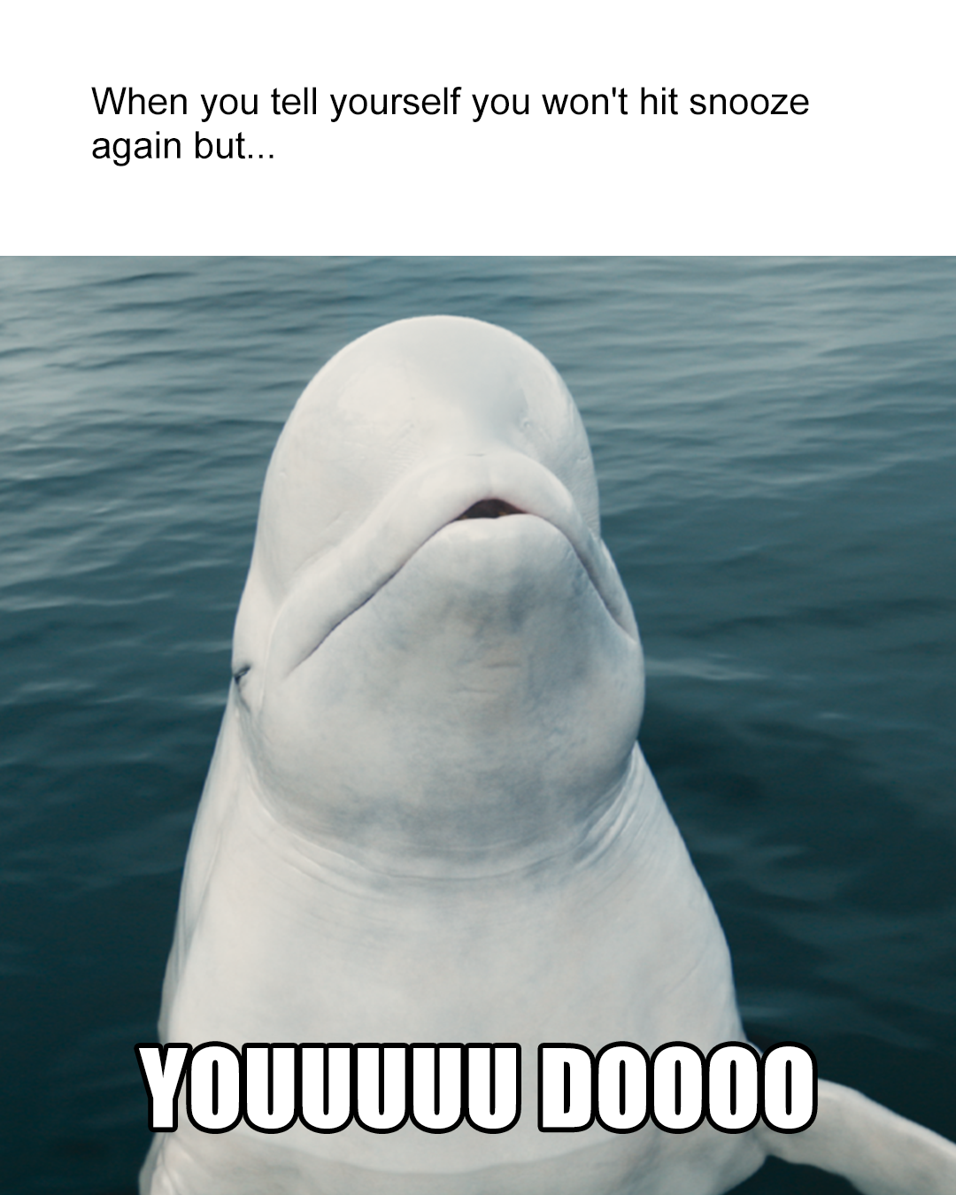 You Dooo 4x5.png