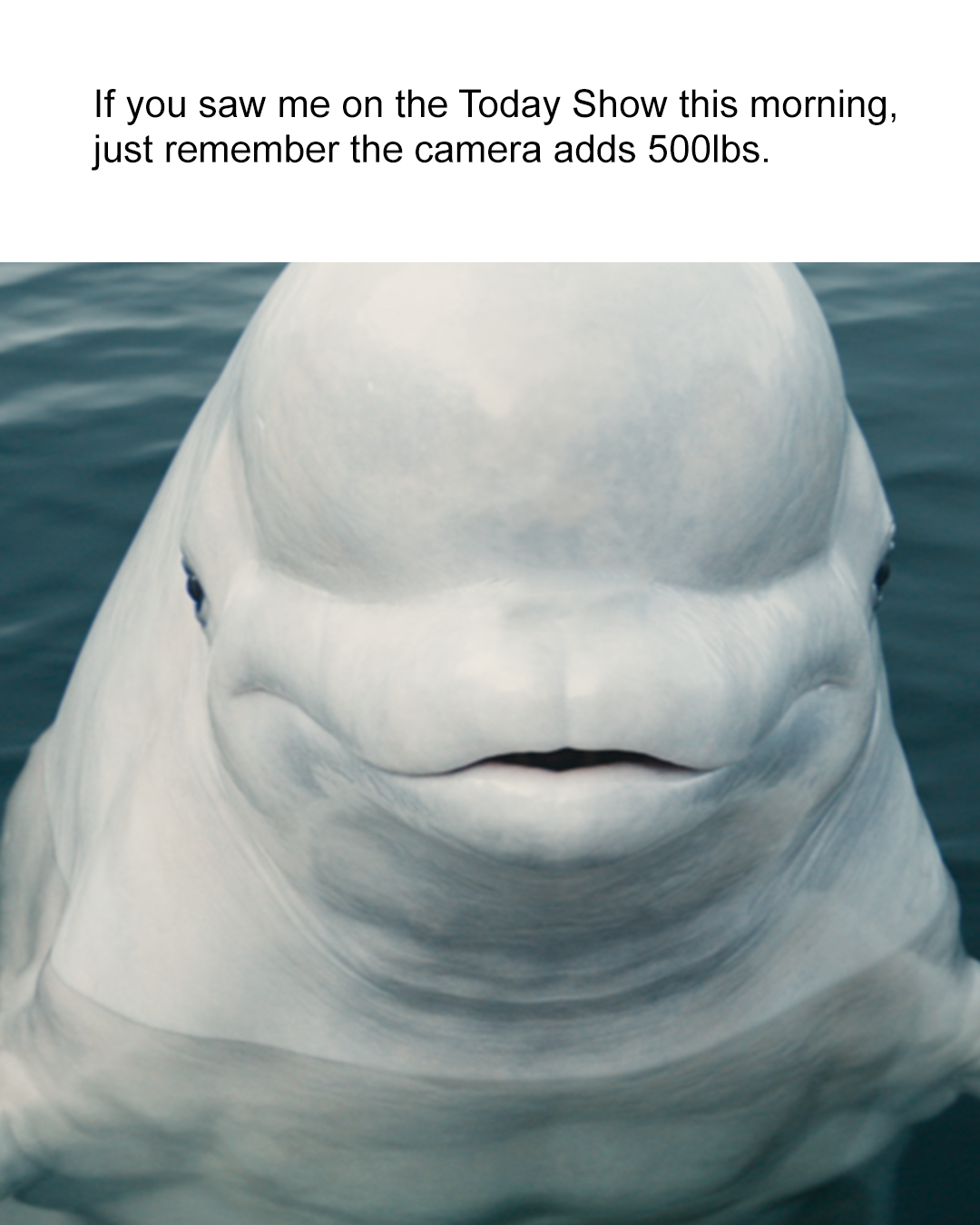 Today Show 4x5.png