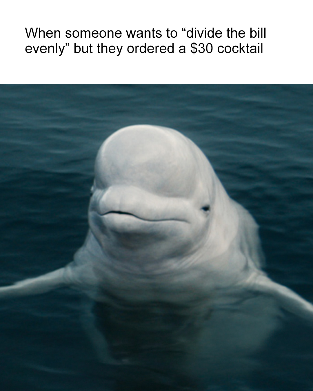 Cocktail 4x5.png