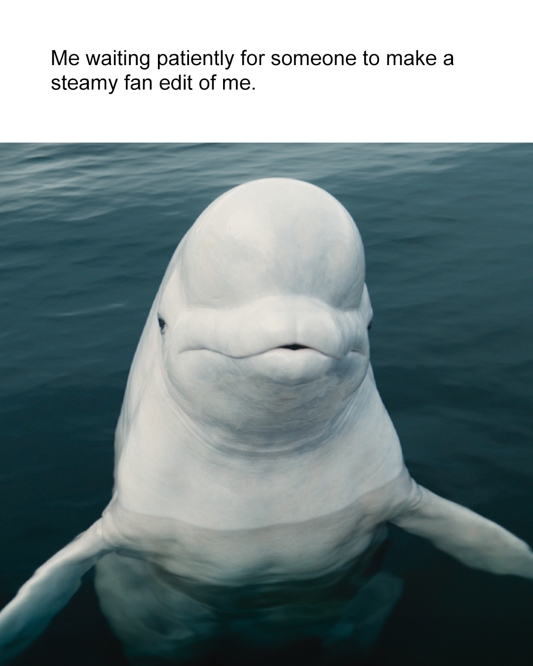 Steamy Fan Edit 4x5.png
