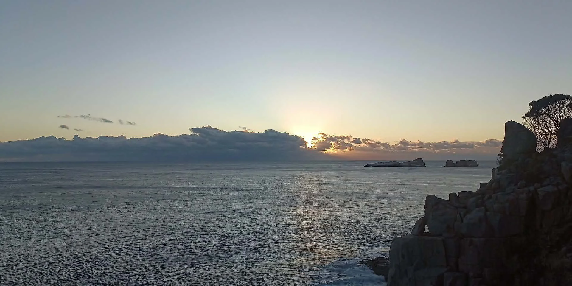 The Seaweed (or Kelp? I don’t know the difference)