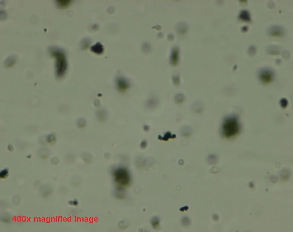 400x microscope image showing graphite particles dispersed in coating film