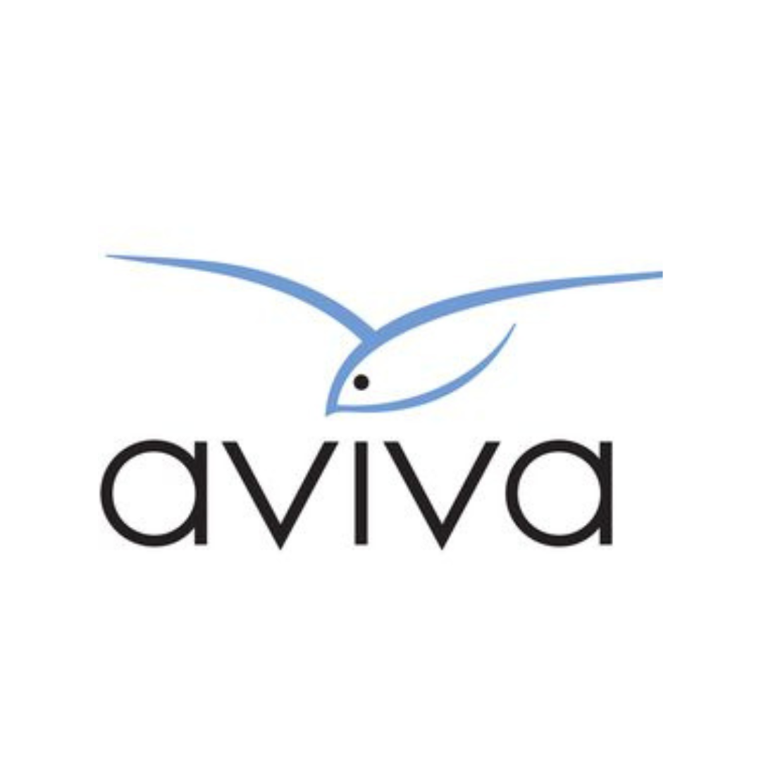 Aviva Family and Children's Services