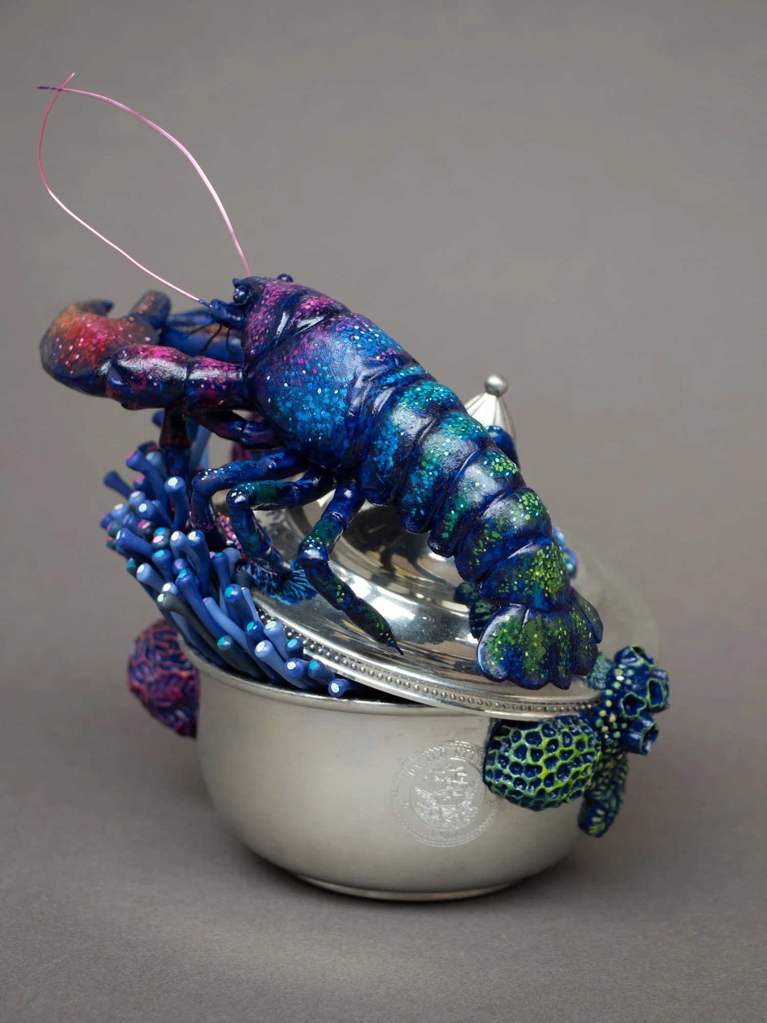 Eternal Youngster, Mixed Media Coral and Lobster Sculpture on Thrifted Navy Box, 2026, Stephanie Kilgast