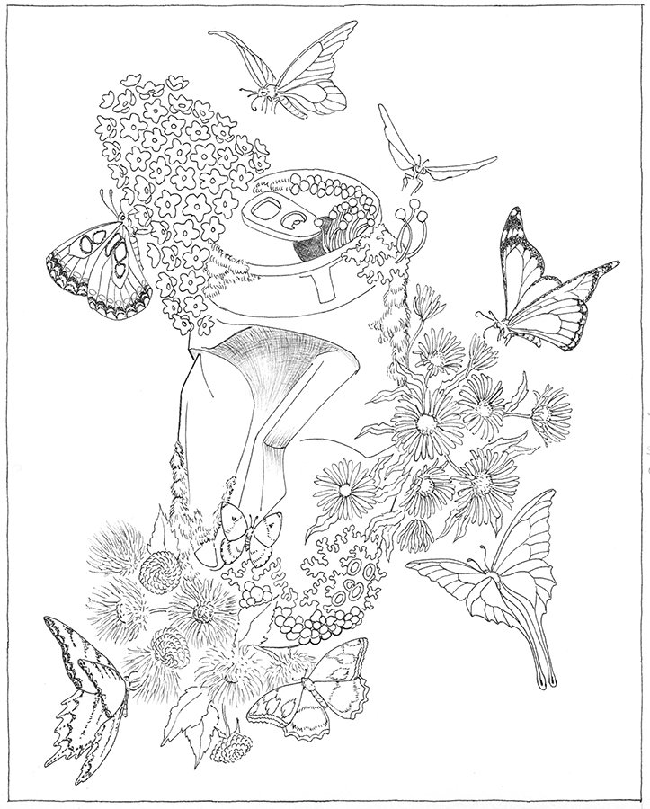 ColoringBook_CanButterfly_B.jpg