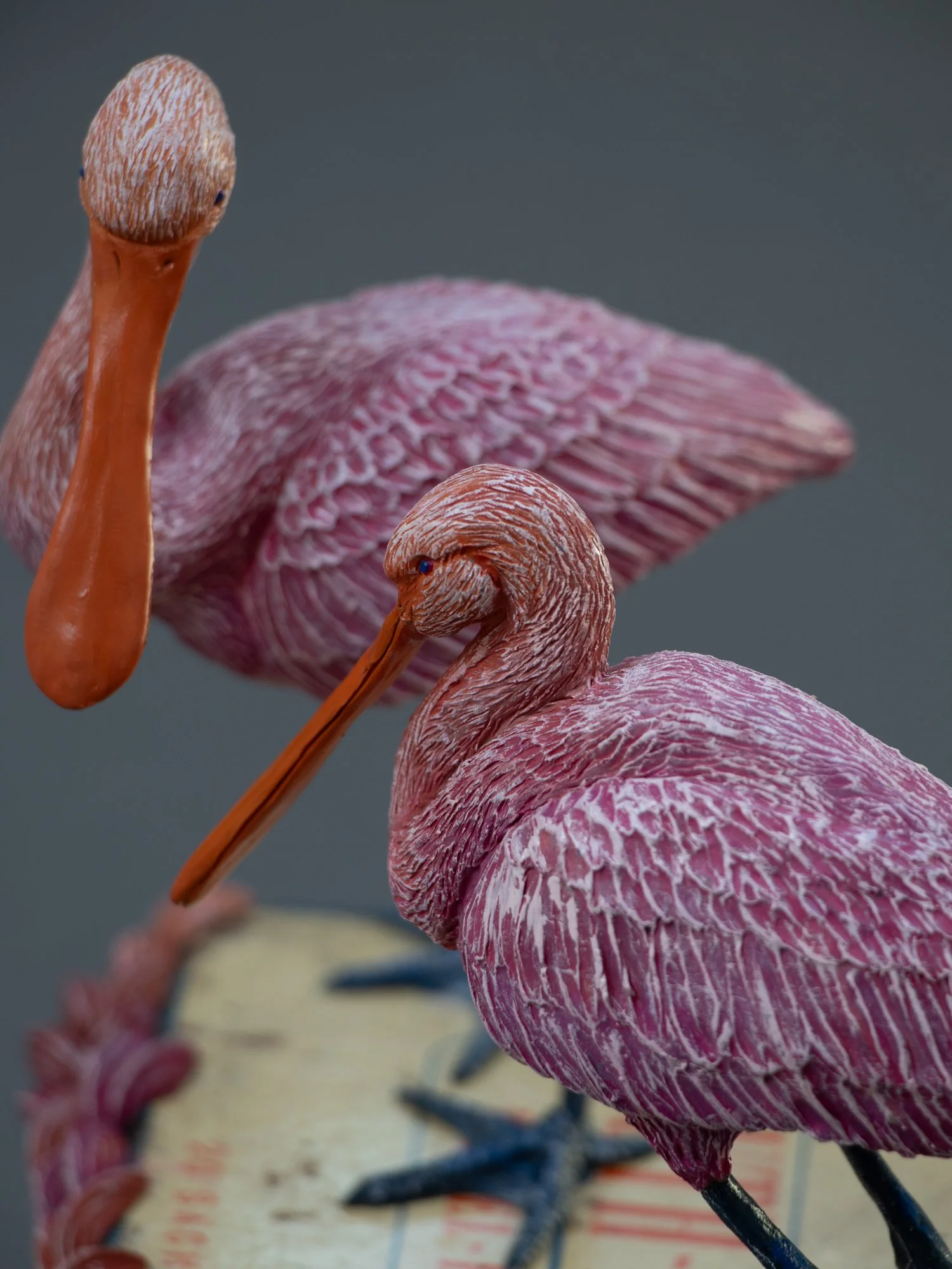 Lovers, Mixed Media Spoonbill Birds Sculpture on Vintage Pharmaceutical Box, Stephanie Kilgast, 2026