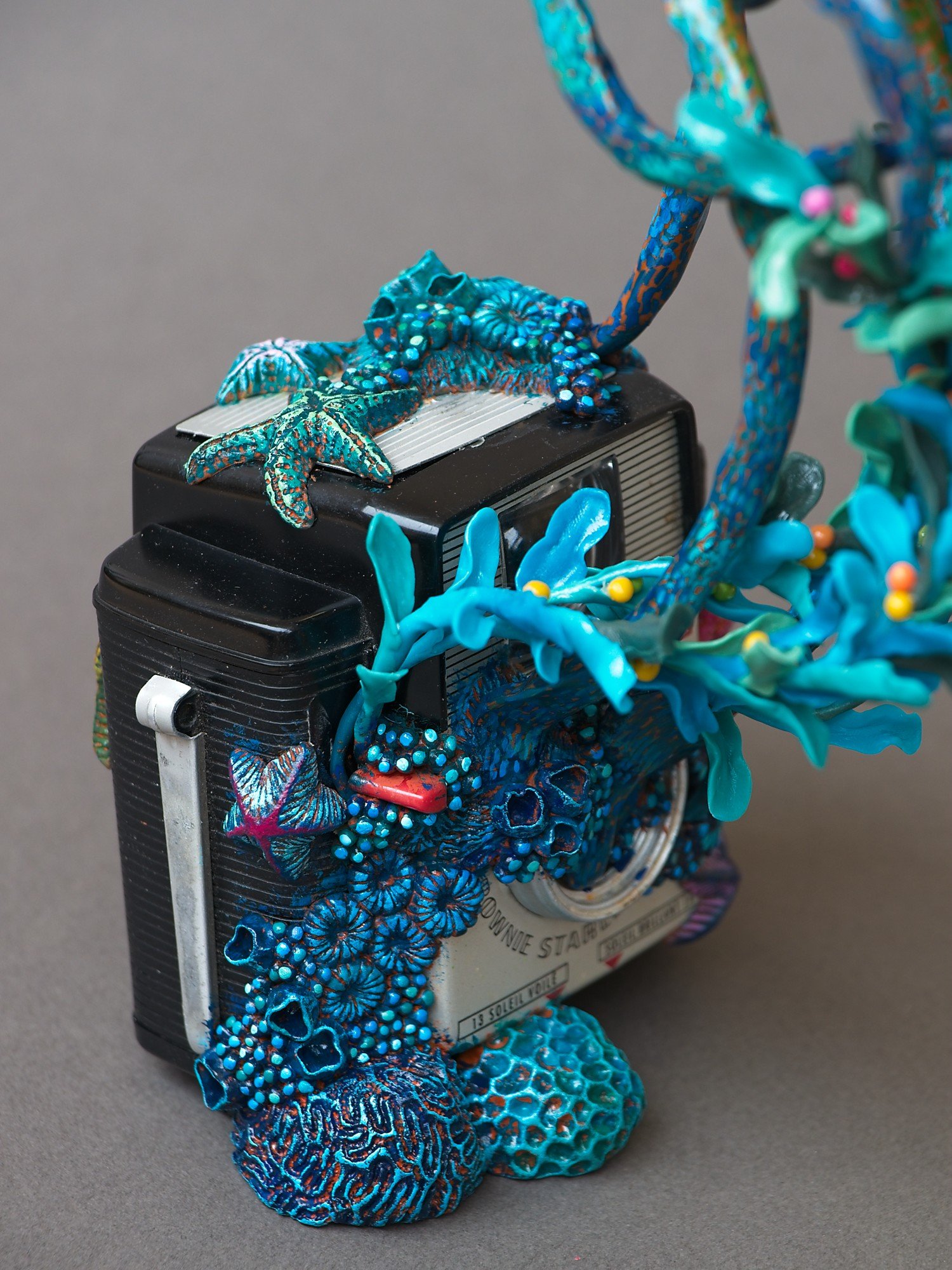 Festive Squid, Miniature Squid Sculpture on Vintage Kodak Camera, 2026, Stephanie Kilgast