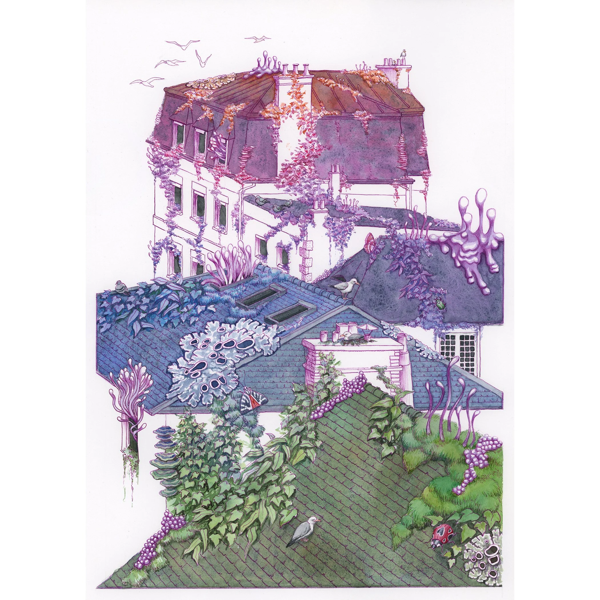 Roofs_Saint_Malo_2026_small_square.jpg