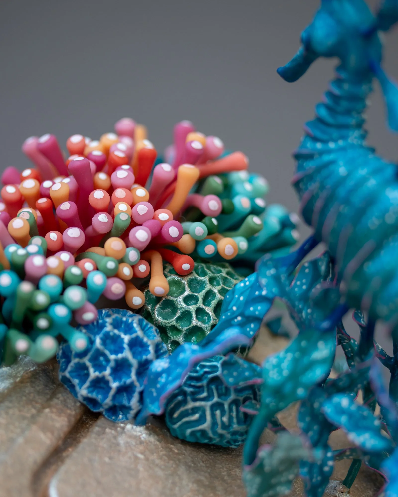 Floating, Mixed Media Coral and Seahorse Sculpture on Plastic Box, 2026, Stephanie Kilgast