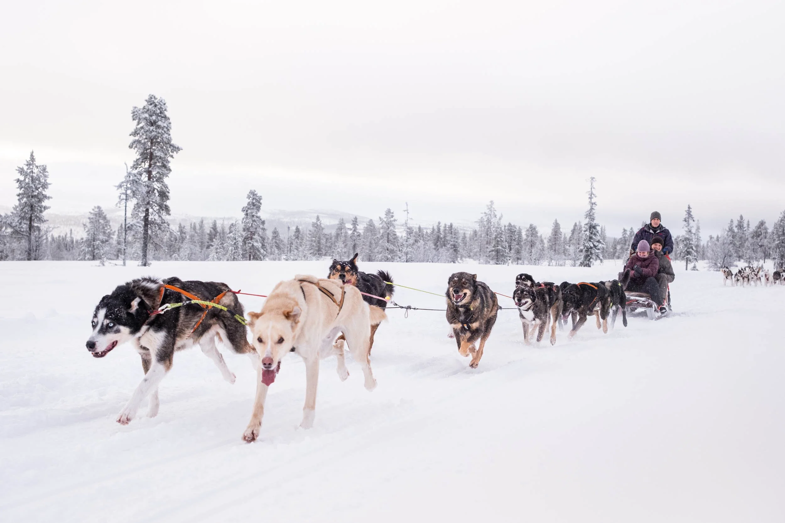 ©LUCID_lofsdalen winter LOW_097.jpg