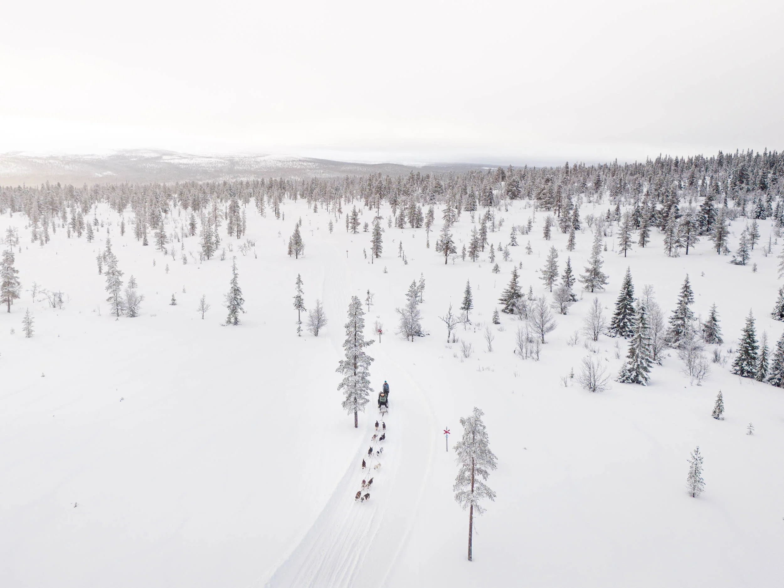 ©LUCID_lofsdalen winter LOW_100.jpg