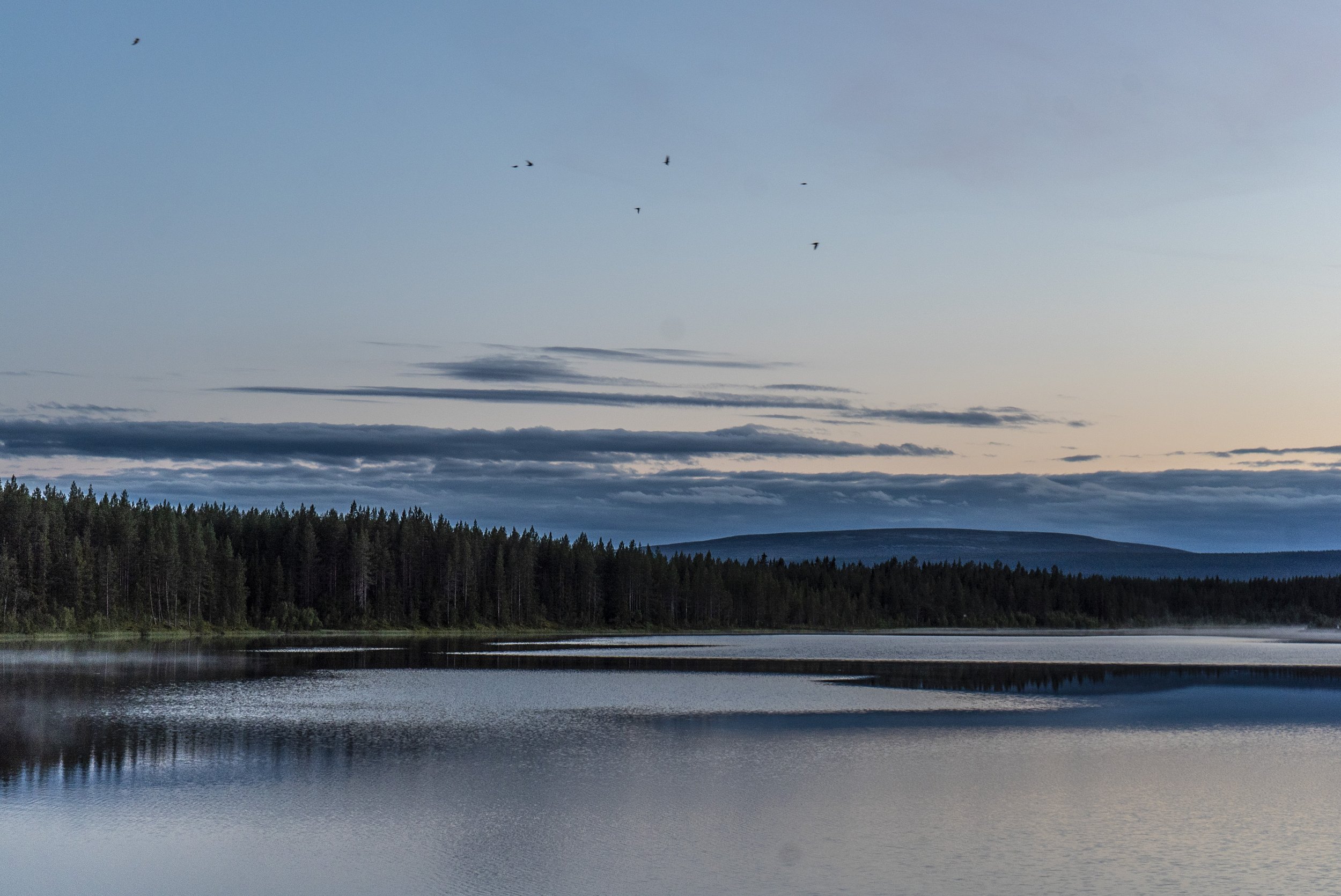 _DSC1086.jpg
