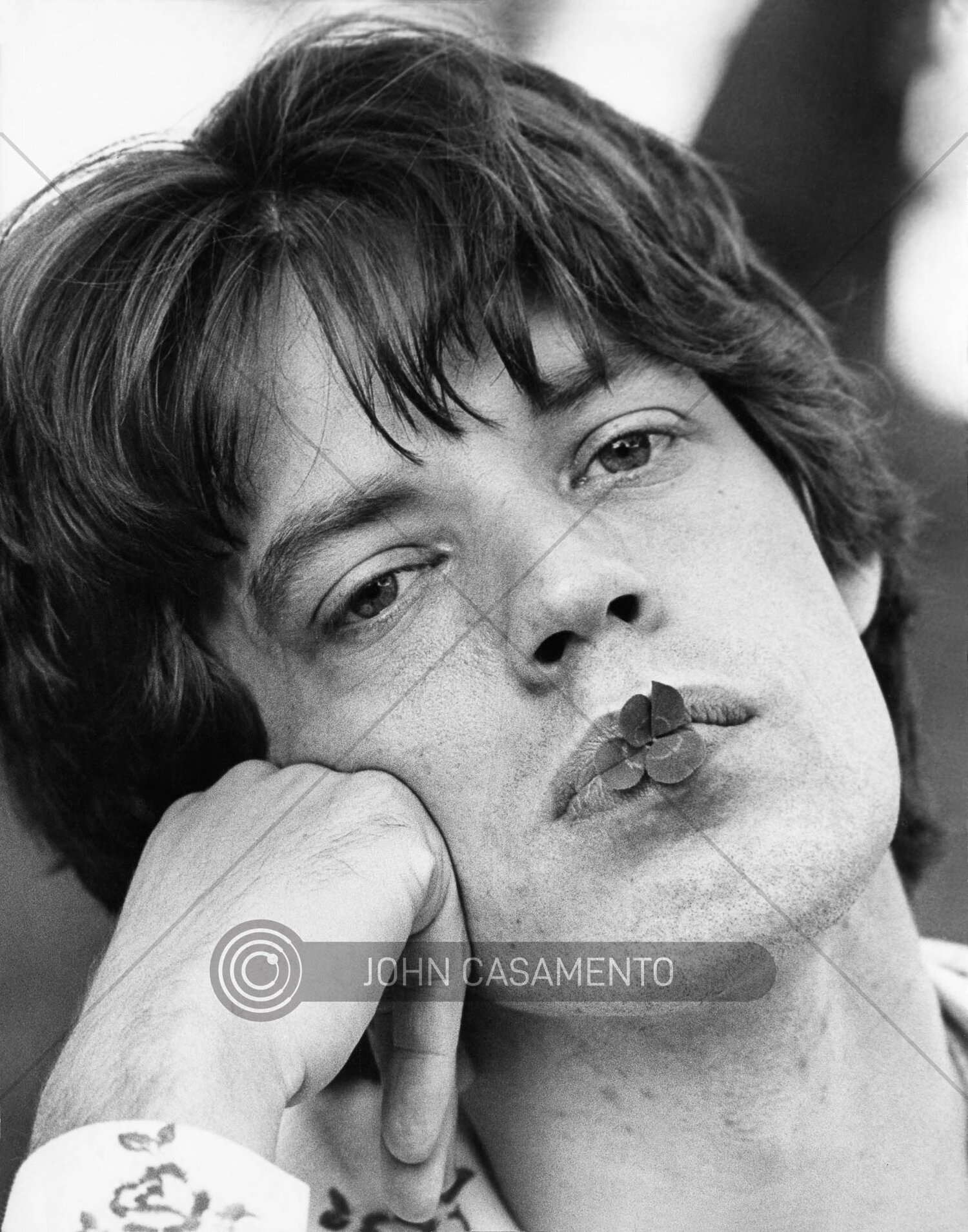 Rolling Stones front man Mick Jagger sucks on a clover plucked from the ground while giving a media interview at Montsalvat, Eltham, during the Stones' concerts in Melbourne 1973.