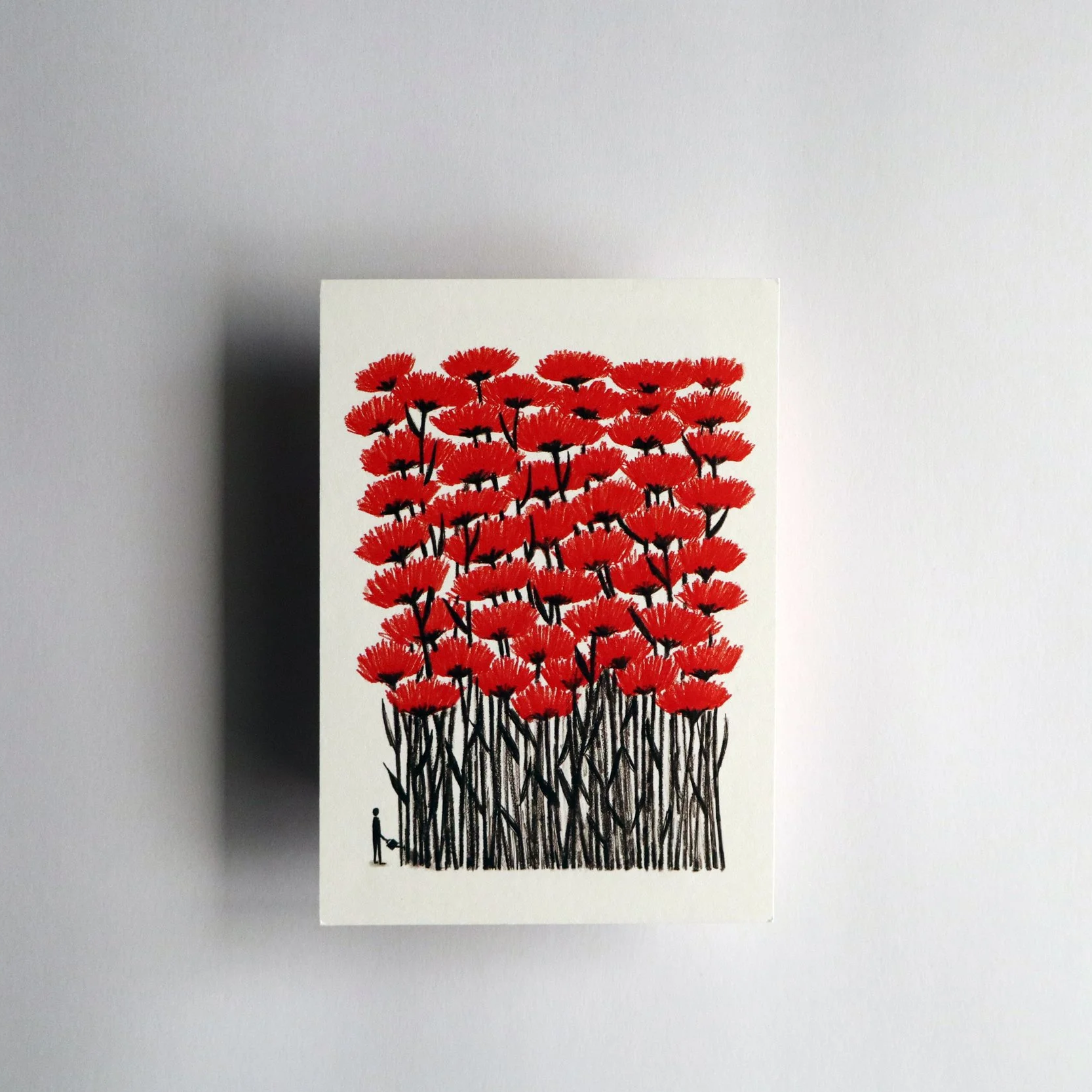 Comissão Comemorativa 50 anos 25 de Abril