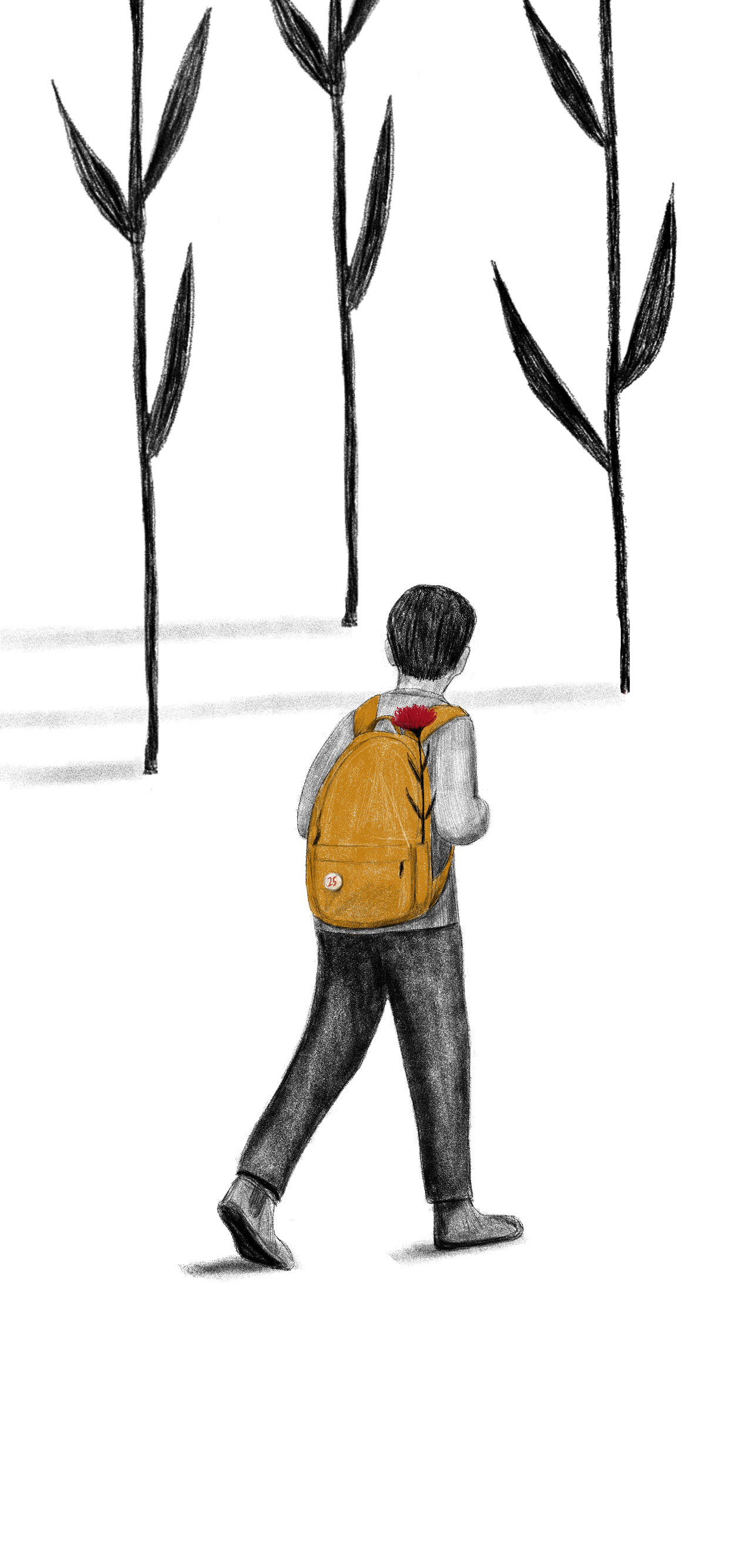 Materiais educativos.PNG