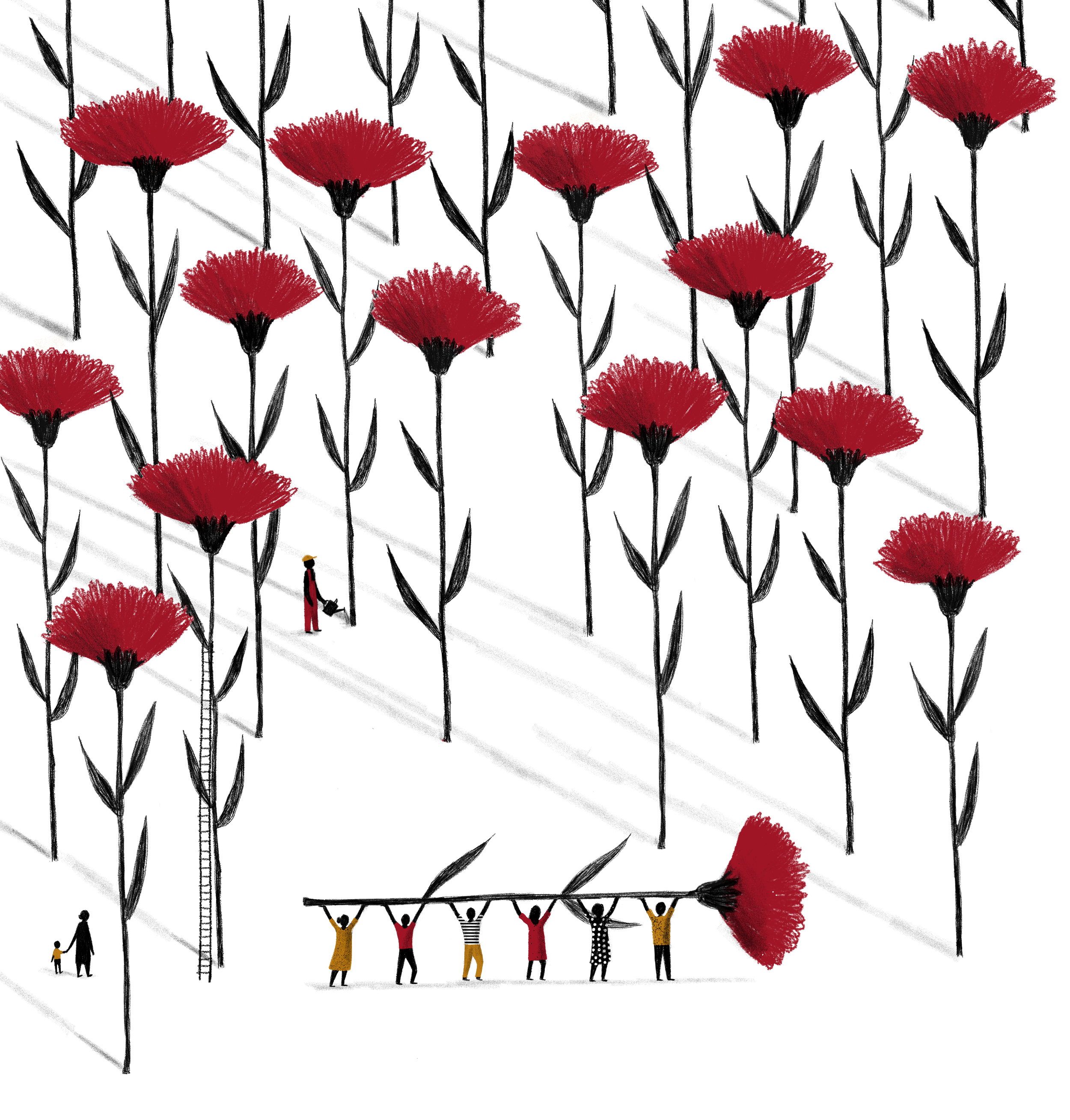 O legado dos cravos.PNG