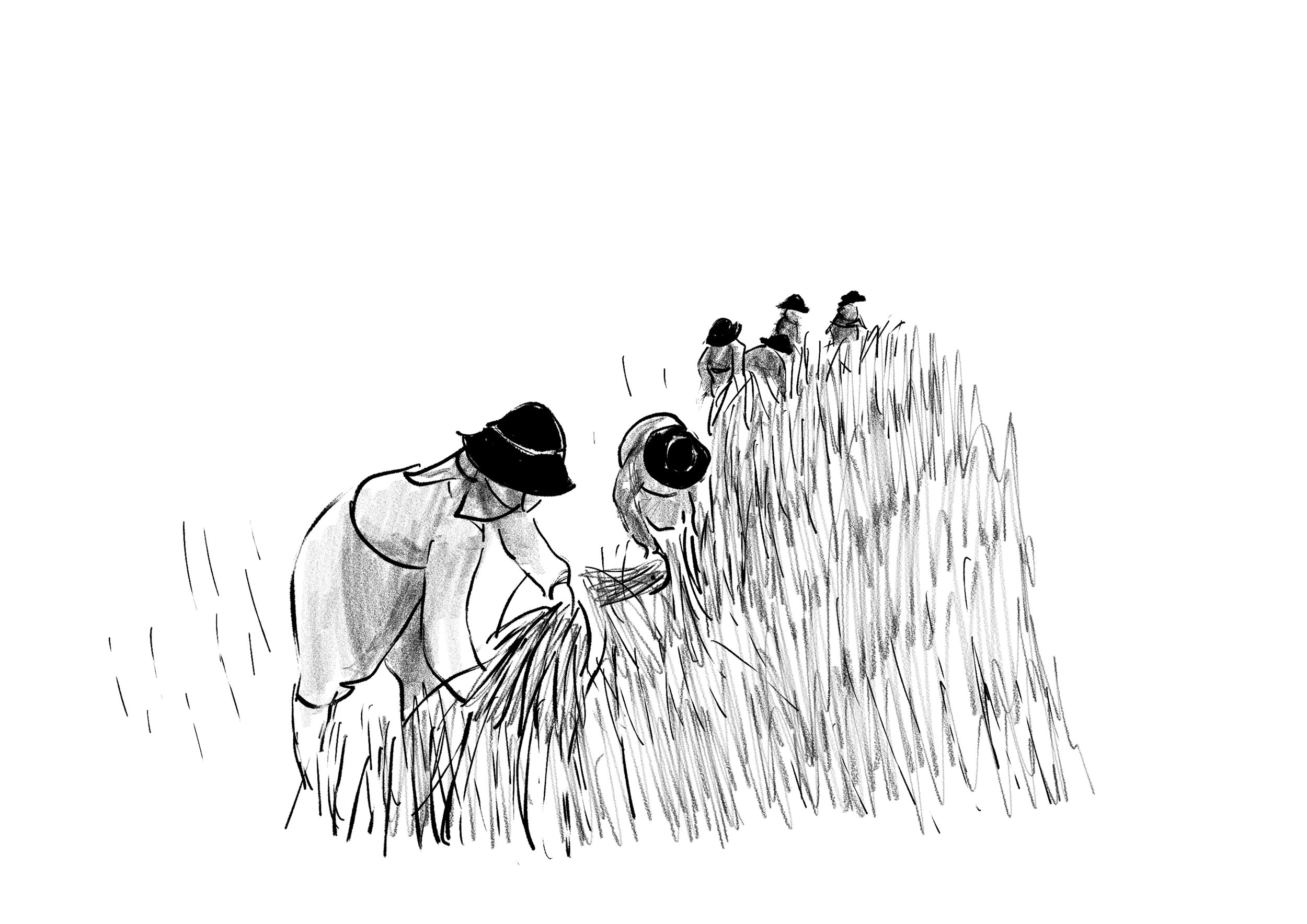 Campos e mulheres.jpg