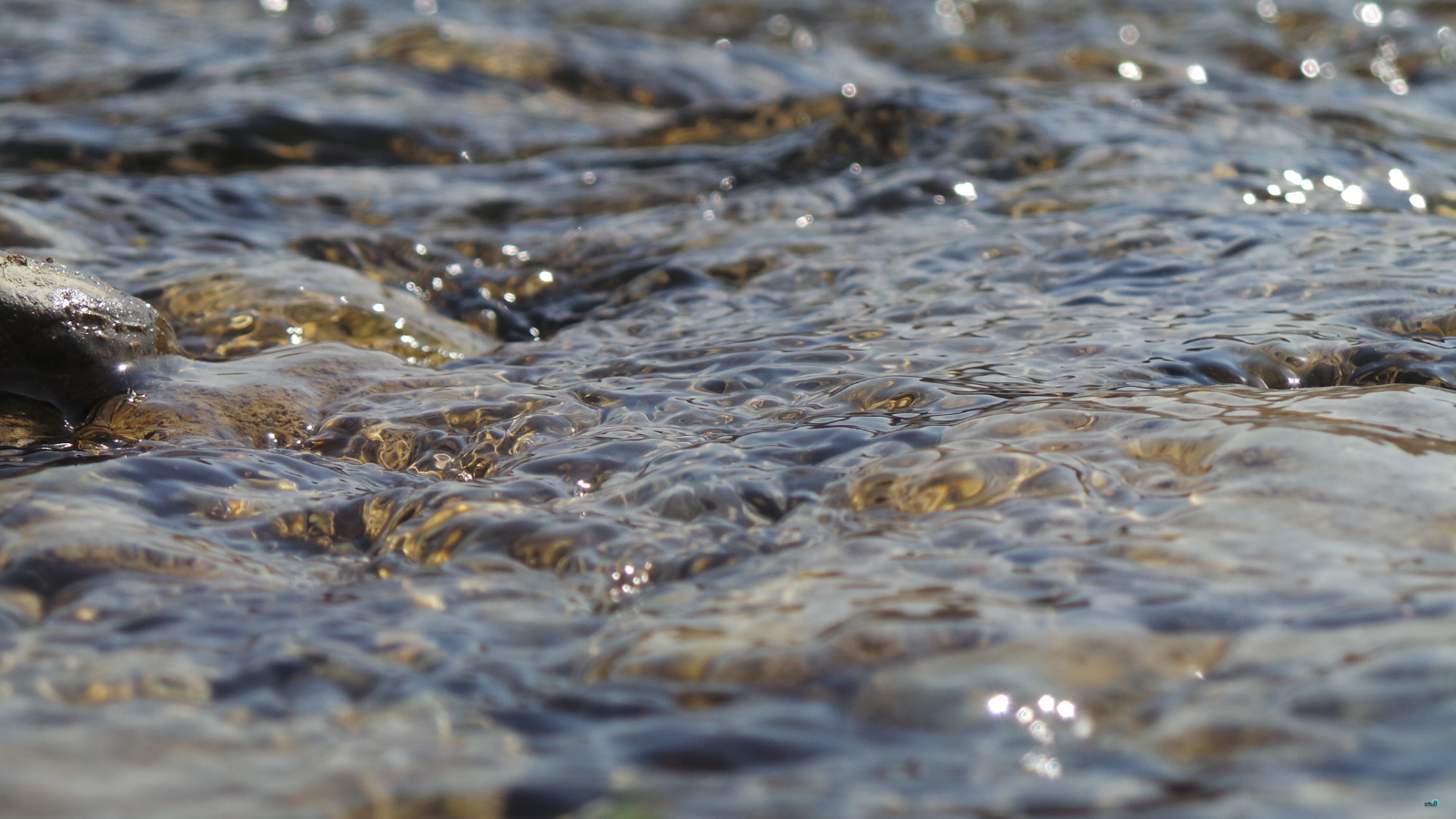 Nutrient Neutrality Eases in River Camel Catchment Following WwTW Upgrades