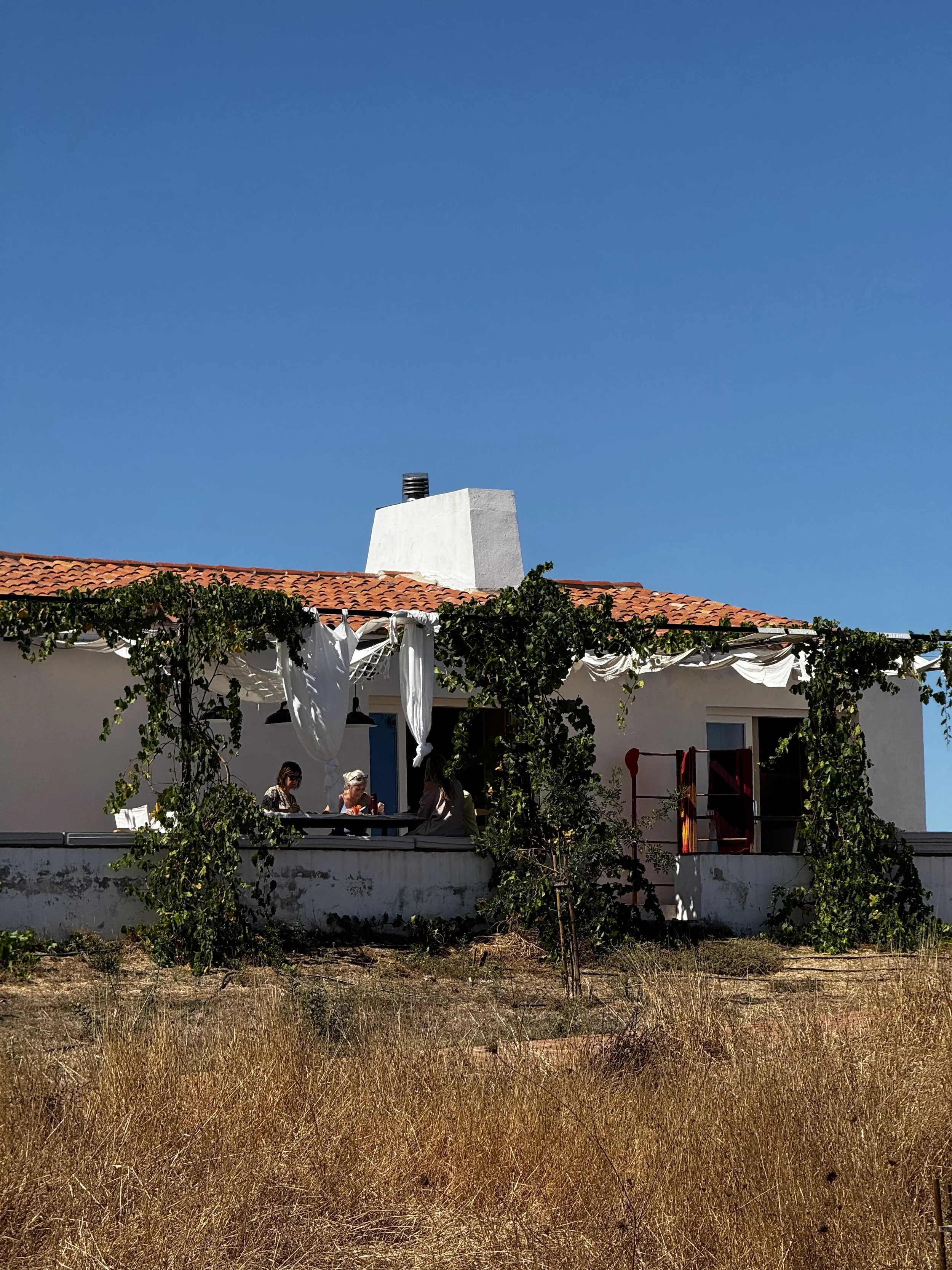 the yoga retreat house in Portugal with white exterior walls and a red tile roof, surrounded by green vines and bushes, with a terrace where three people are seated at a table in front of curtains, against a clear blue sky.