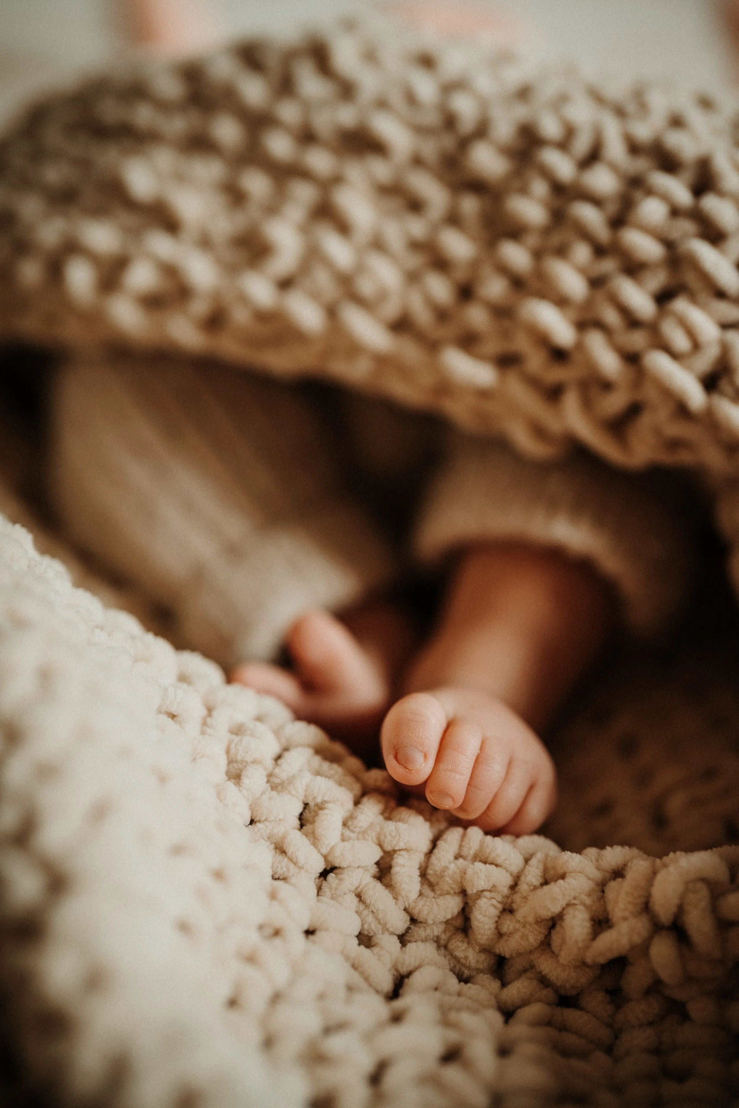 seance-bebe-naissance-brest-quimper.jpg