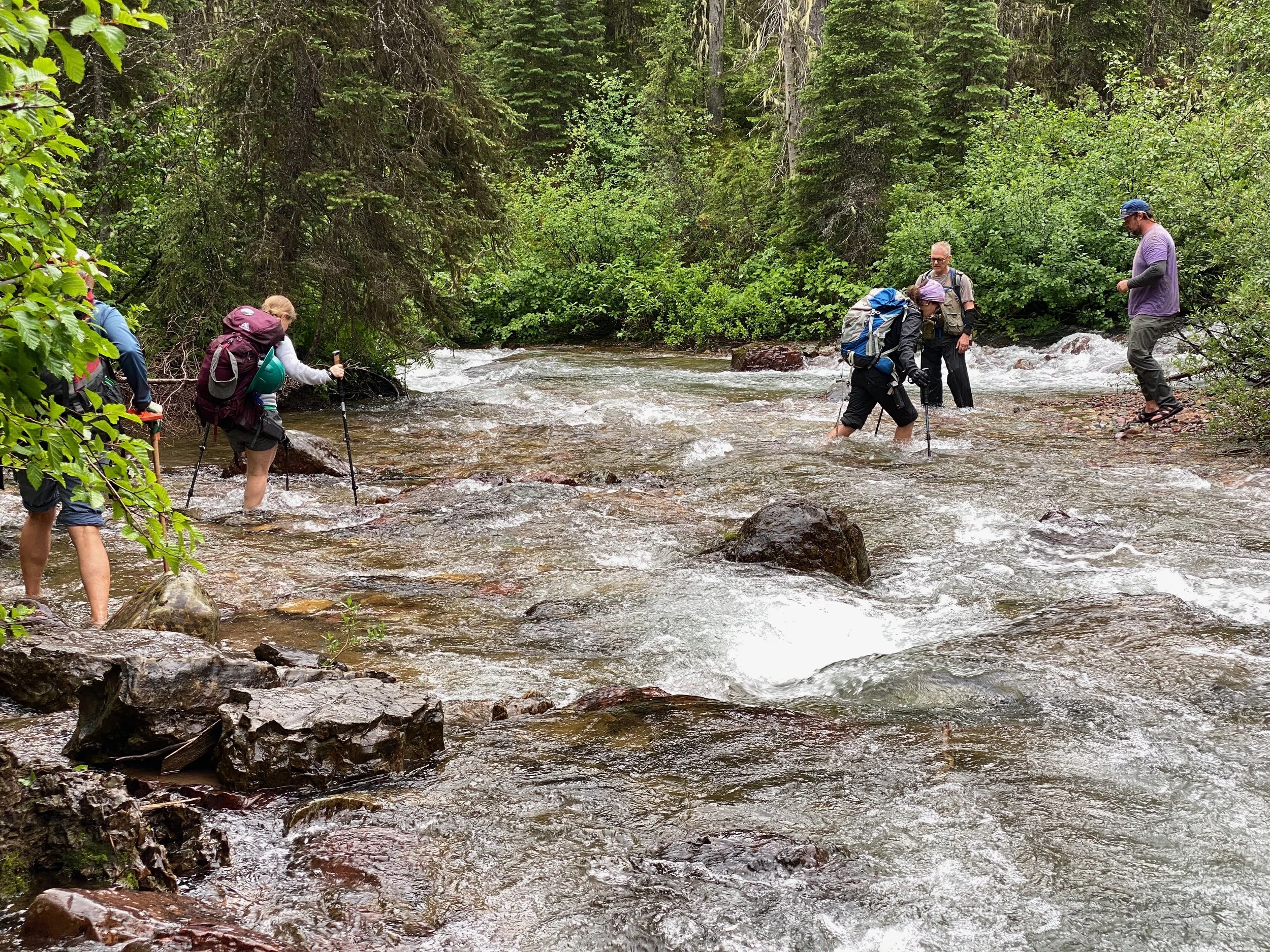 stream crossing.jpeg