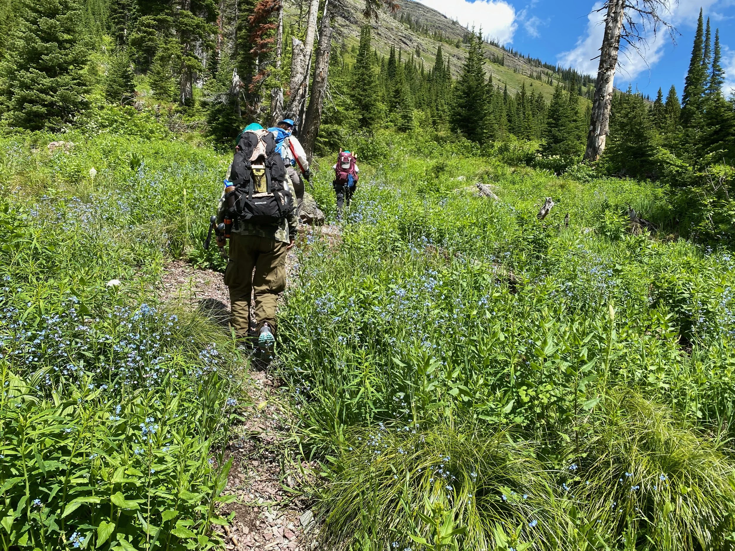 Hike 2.jpeg