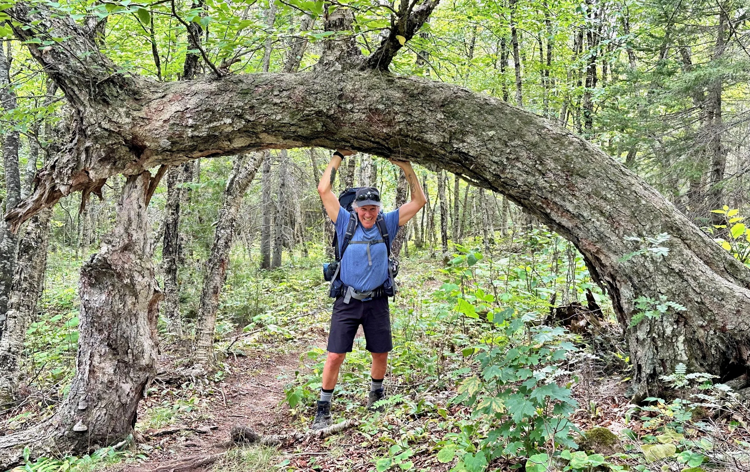 DVX holding up tree.jpeg