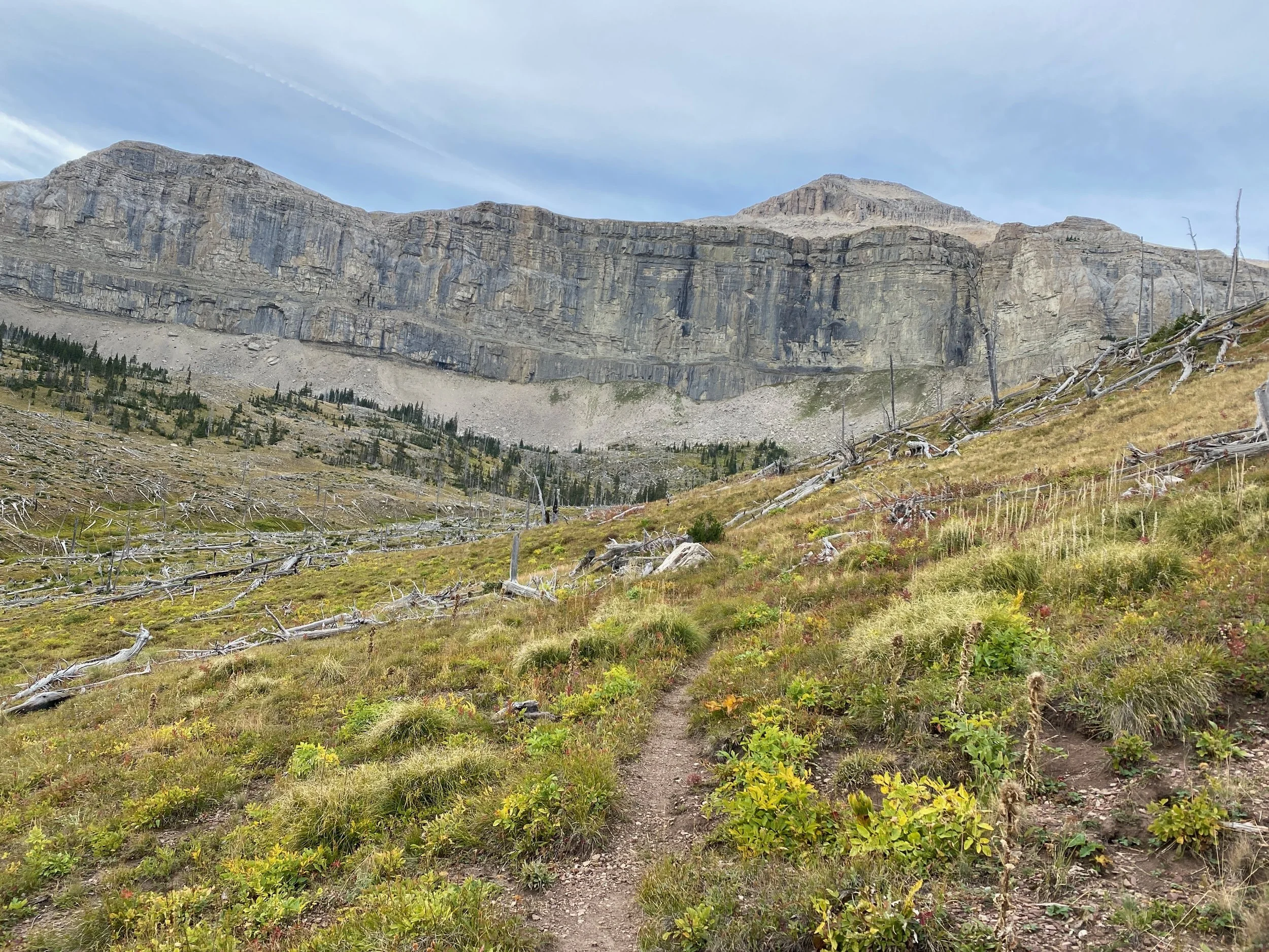 Bob Marshall Wilderness Scapegoat Mountain