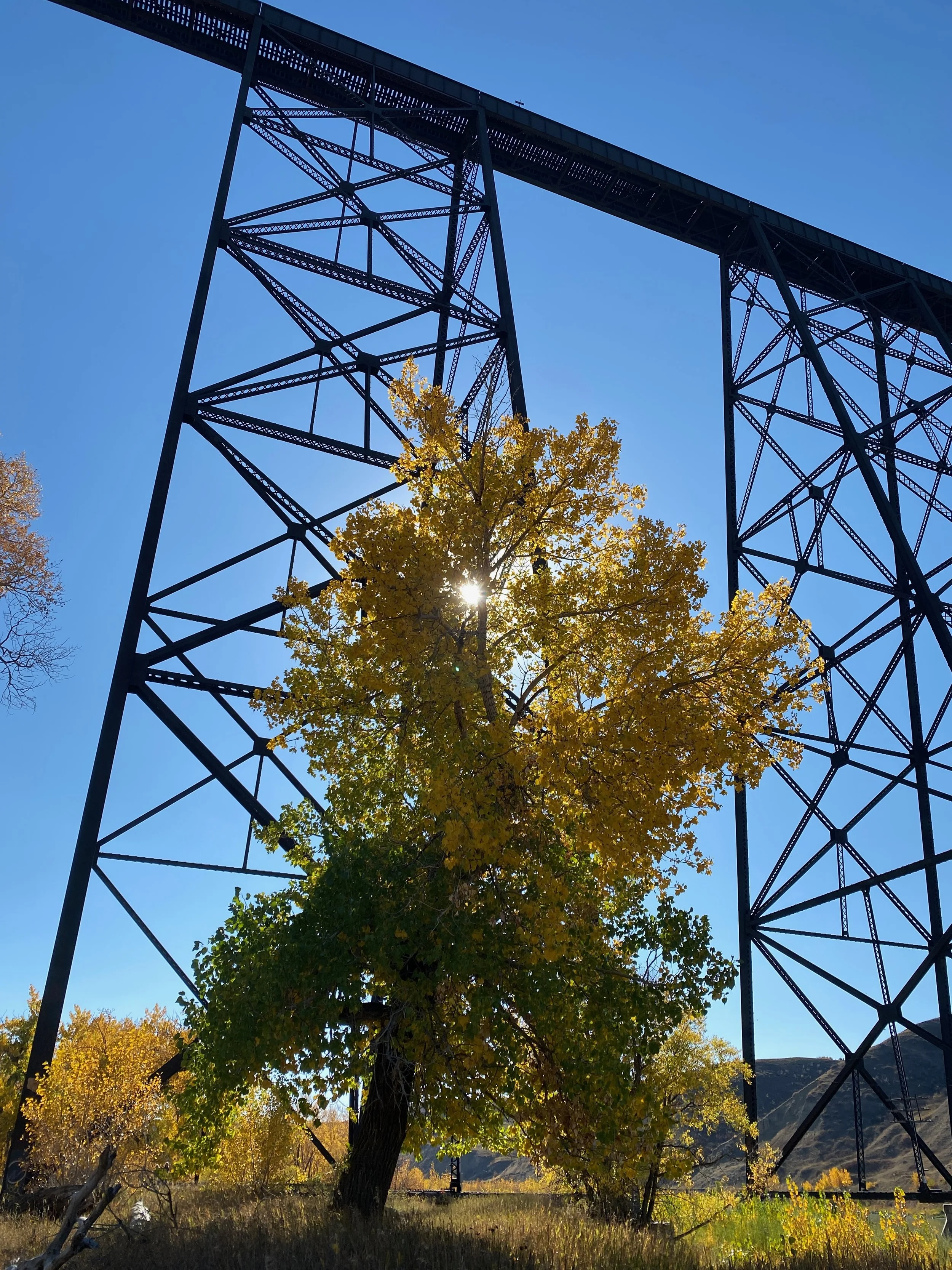 Lethbridge Train Bridge.jpeg