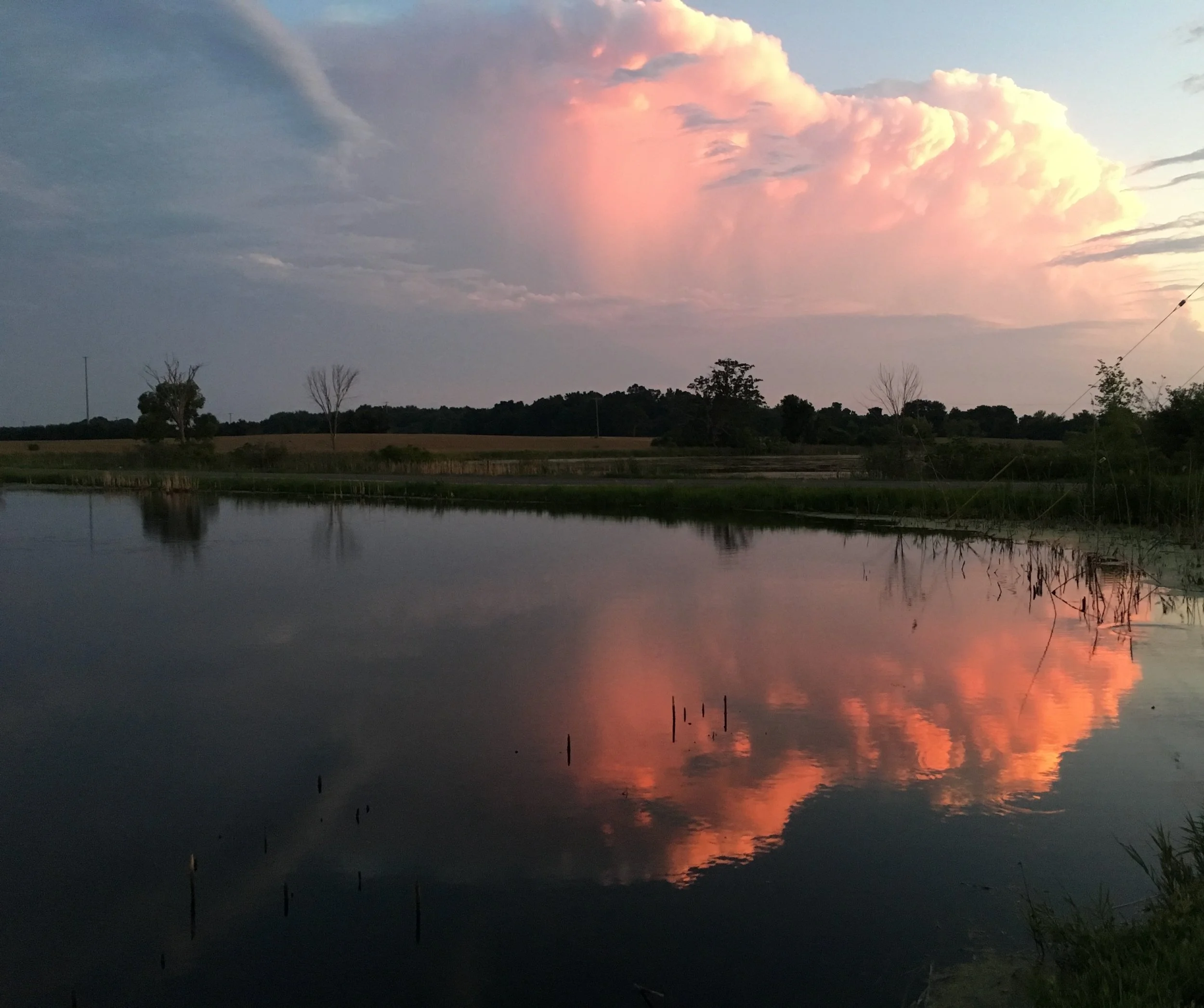 West of A2 Solstice.jpeg