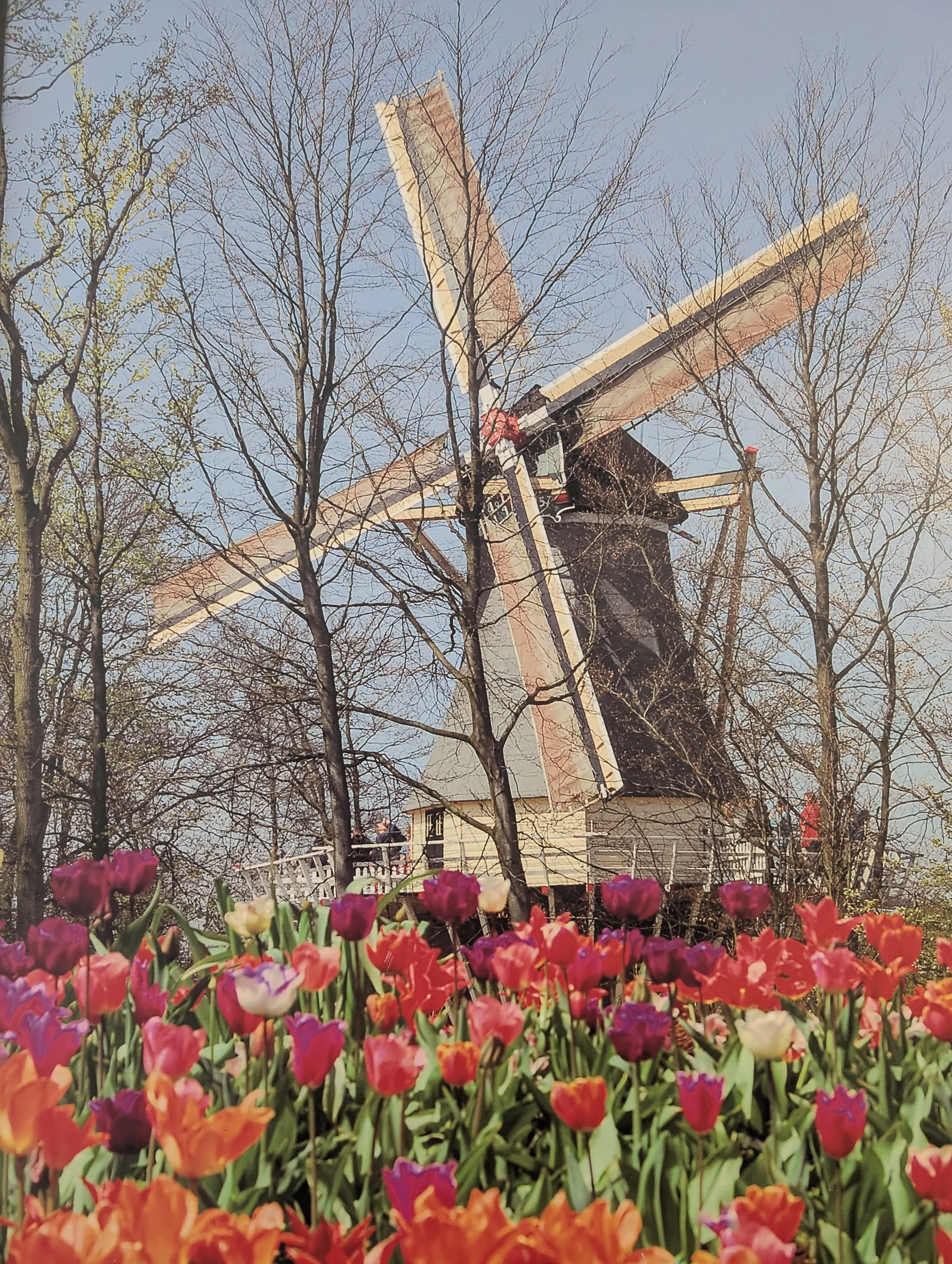 PXL_20260408_120731474.jpg