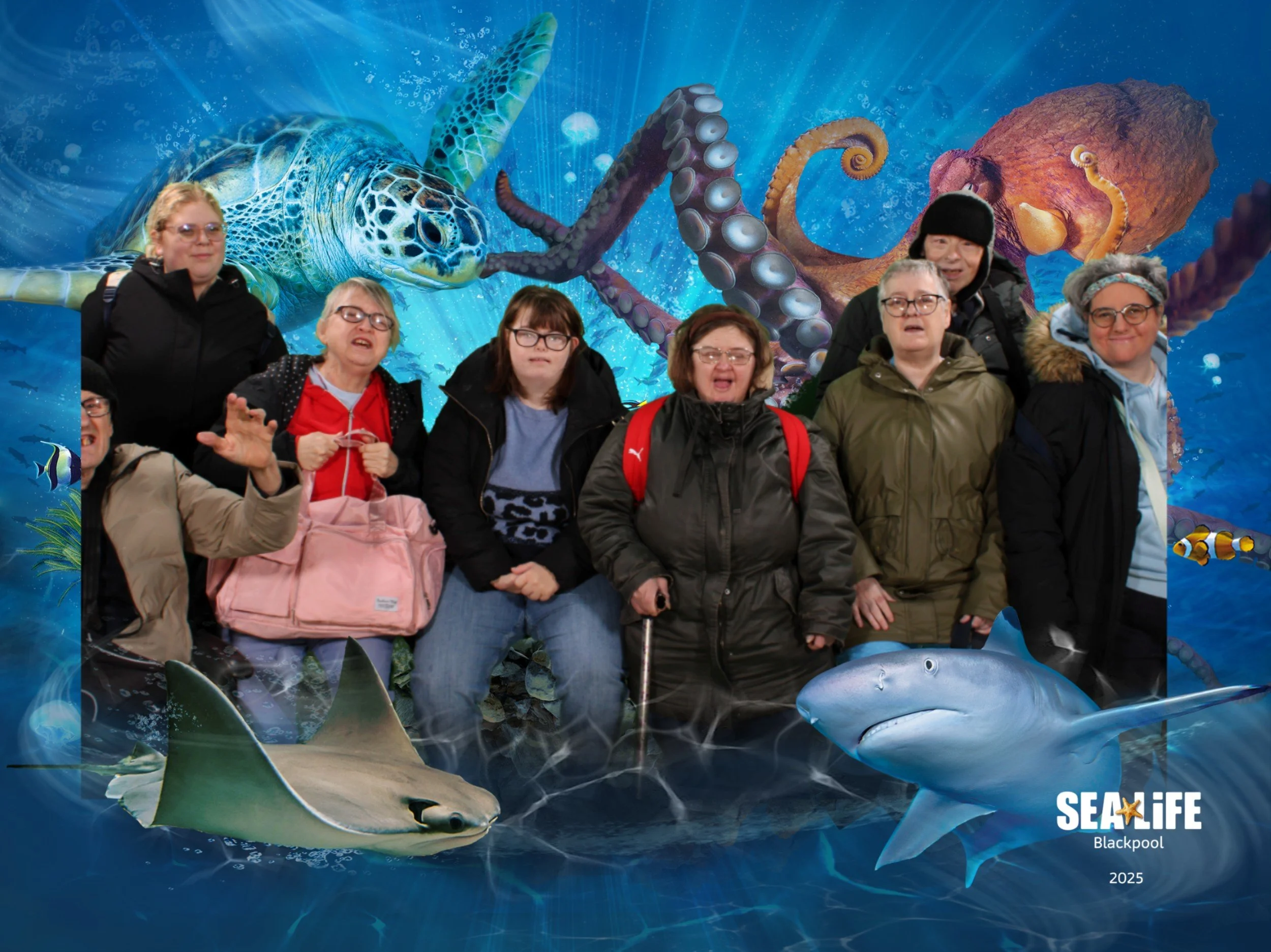 BSL351025132603-298132624104.jpg