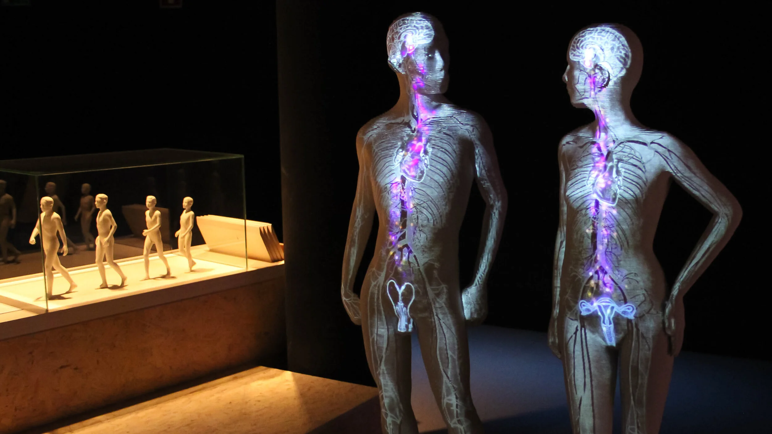 Museum of Natural Sciences - Gallery of Humankind