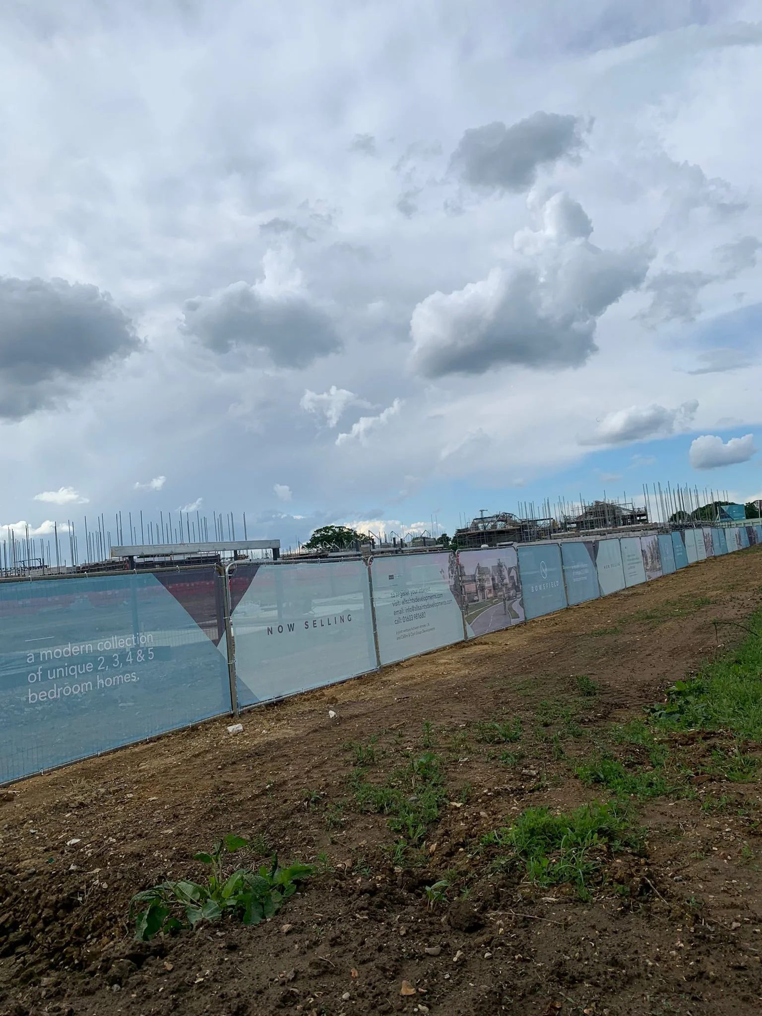 Colins Project 4.jpeg