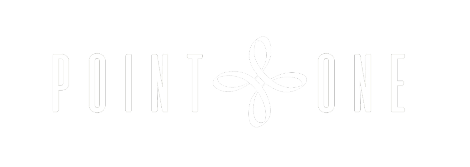 Point One Vision