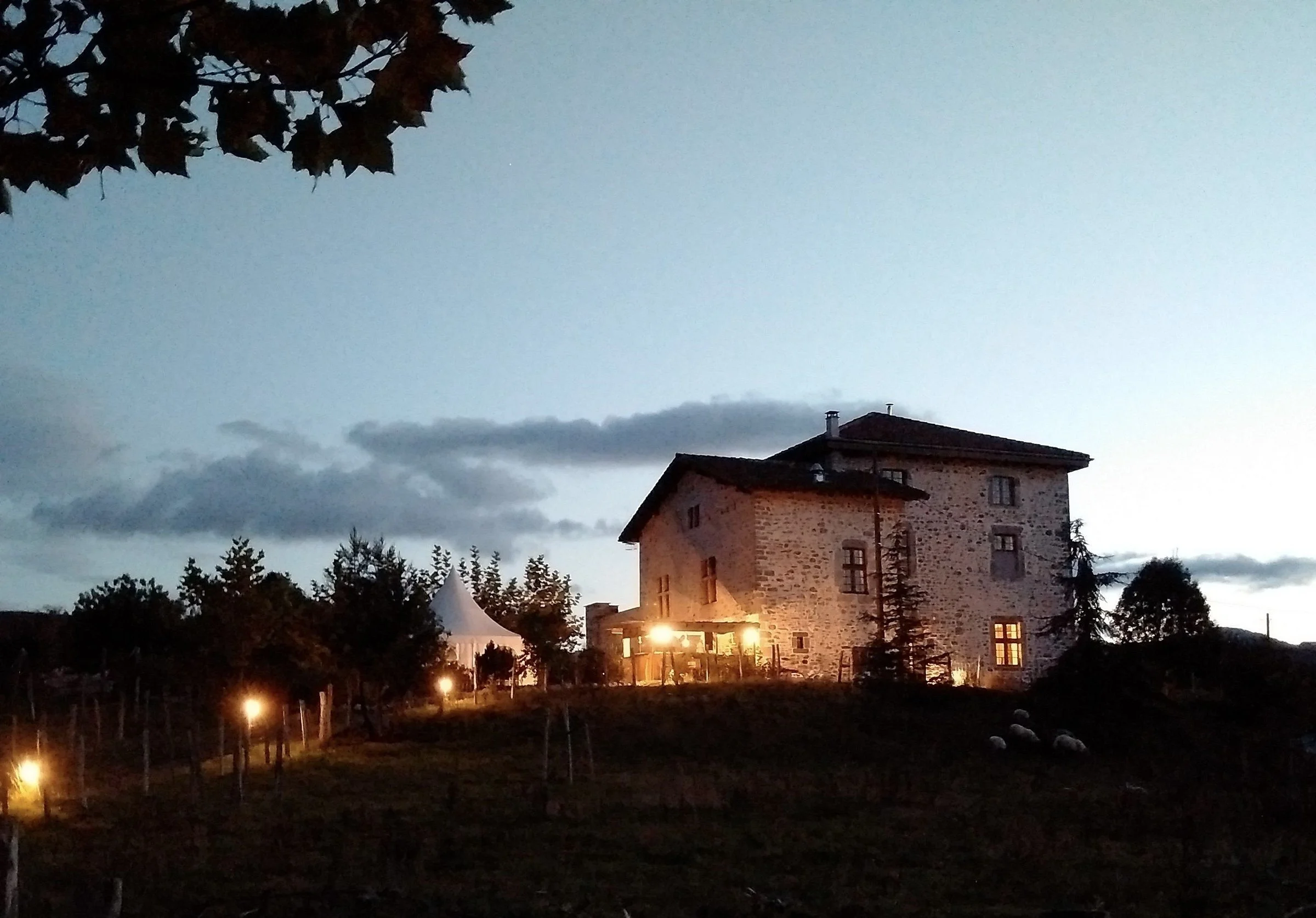 les-fous-du-village 2.jpeg