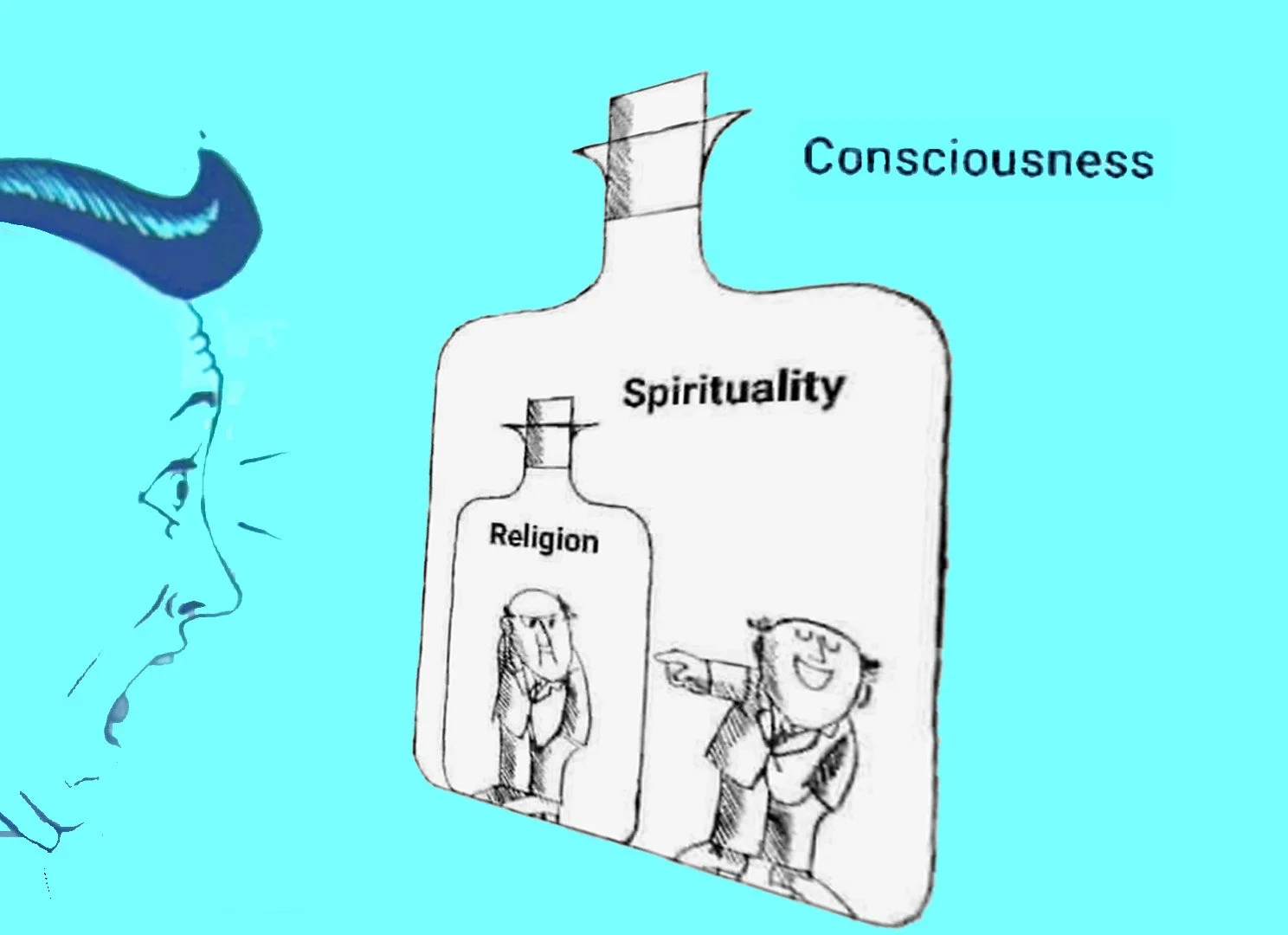 Shit Happens - The adventures of consciousness in Human Form