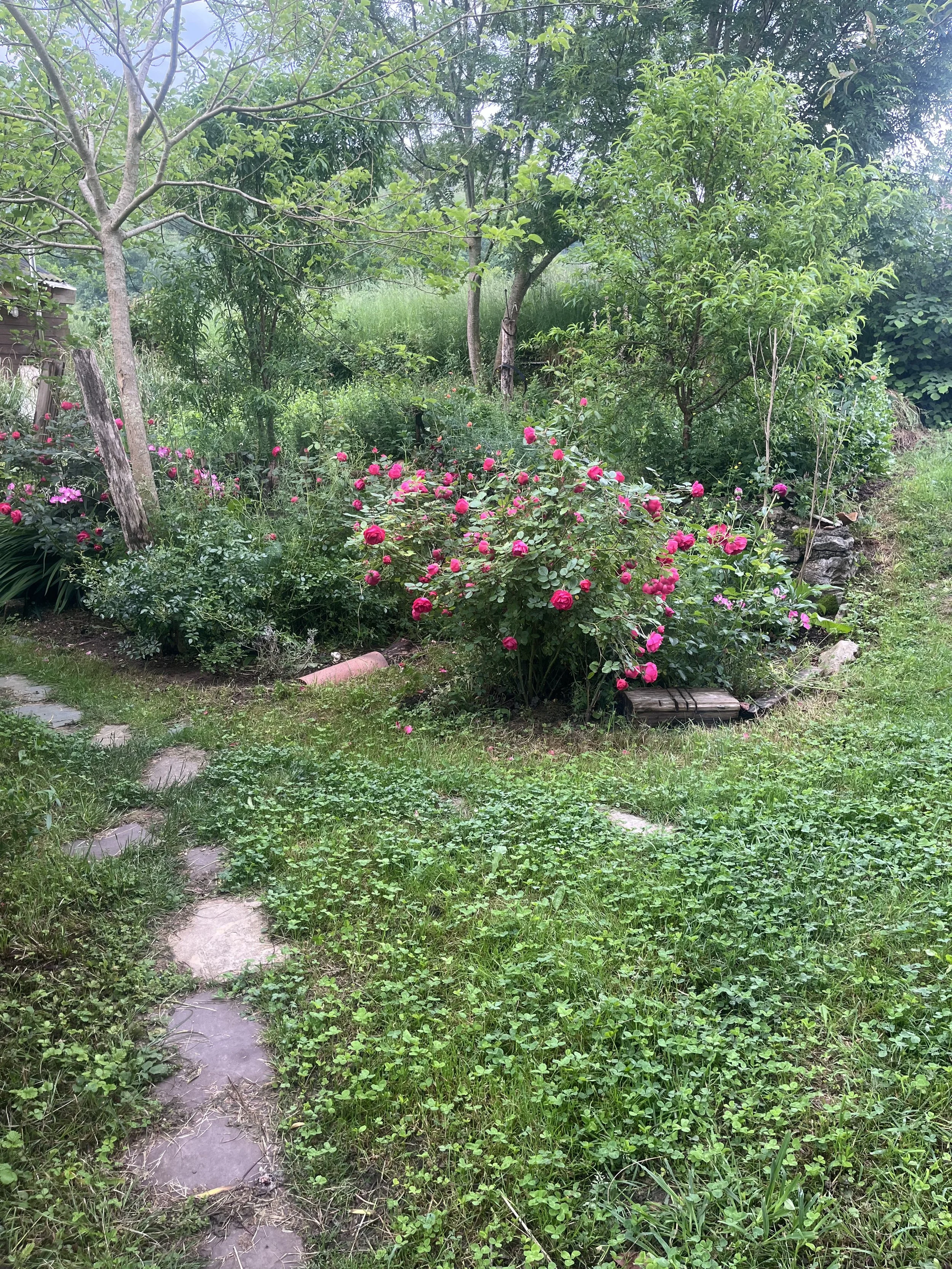 IMG_6839.jpg