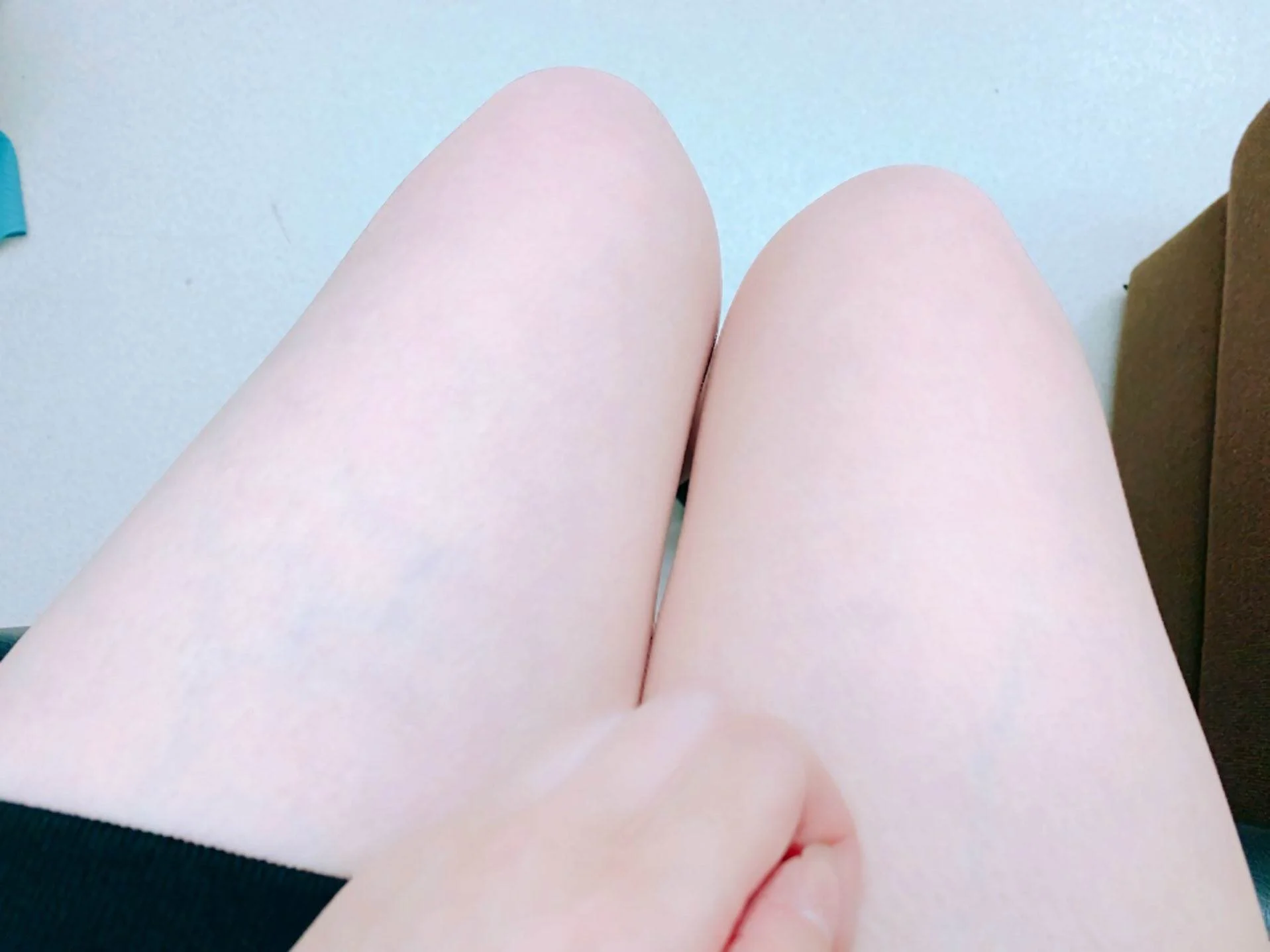 jablehk_leg 9_0044.jpg