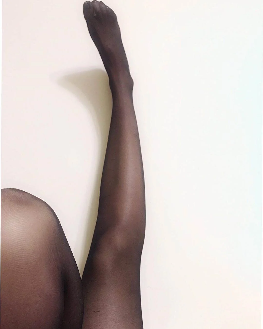 jablehk_leg 9_0022.jpg