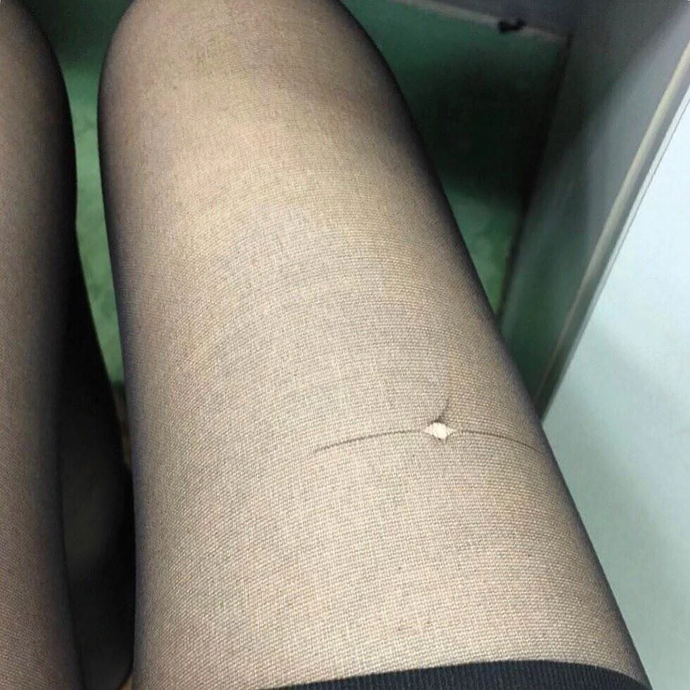 jablehk_leg 9_0023.jpg